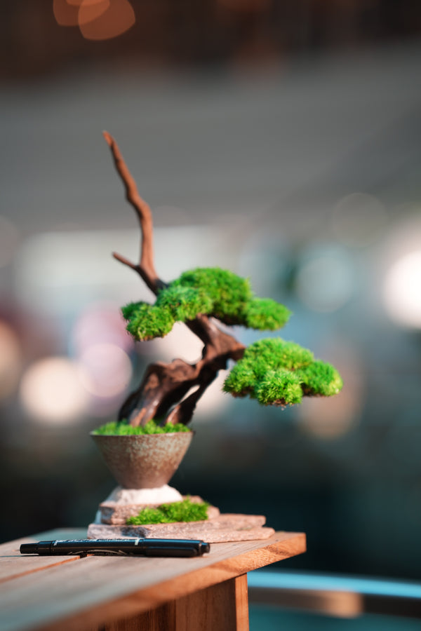 Greenwood - Flight of Time