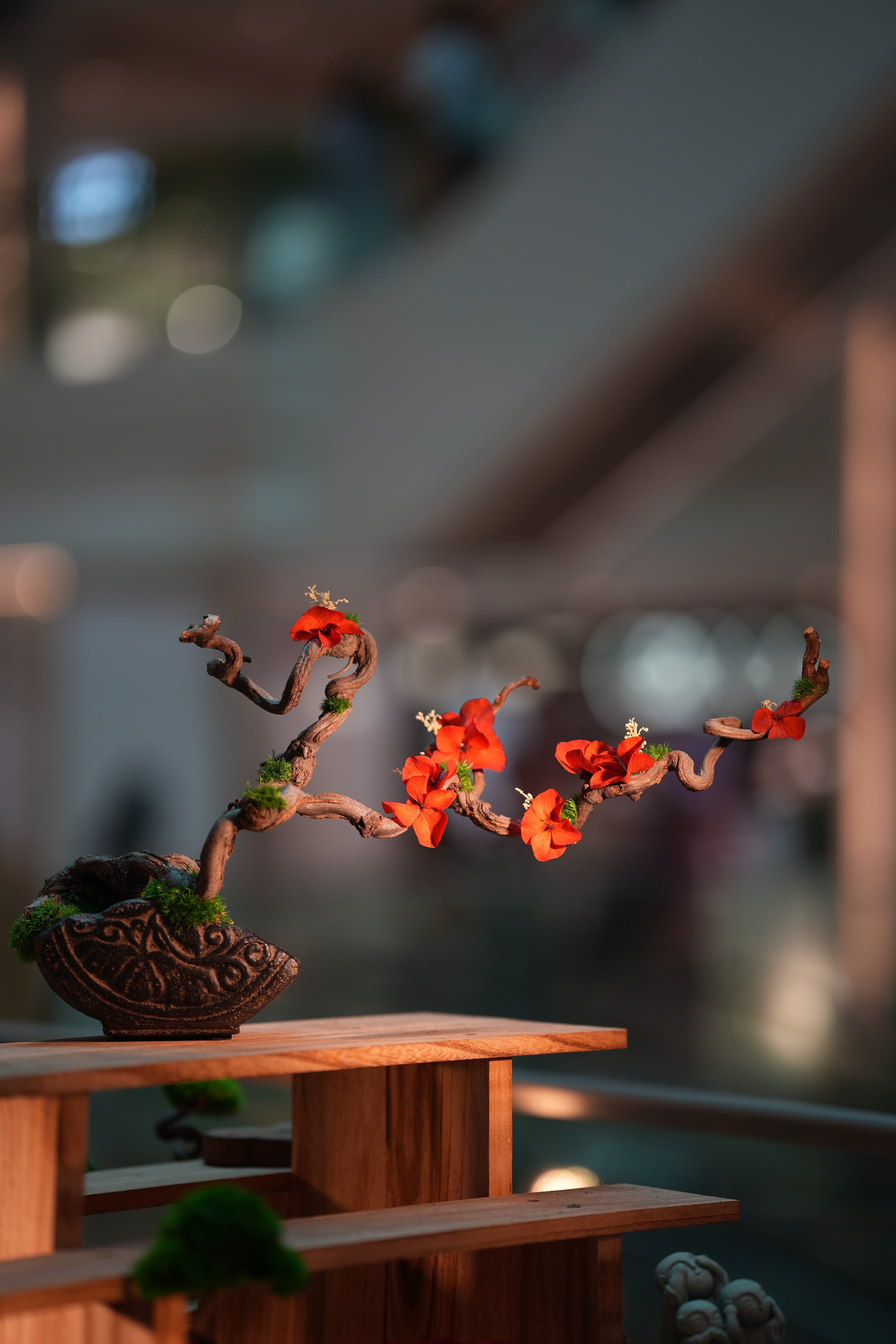 Slow Wood - The Journey - Larger edition