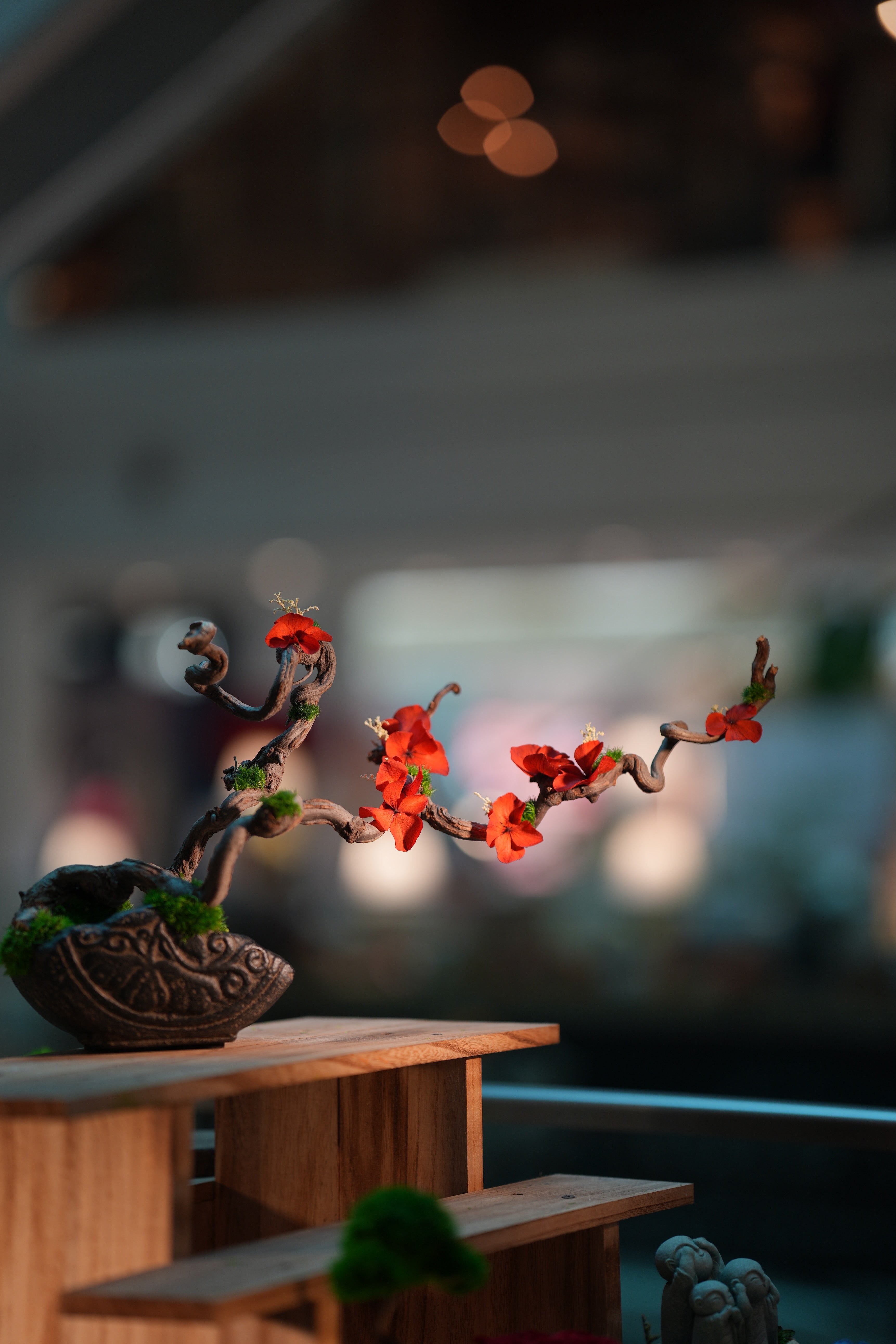 Slow Wood - The Journey - Larger edition