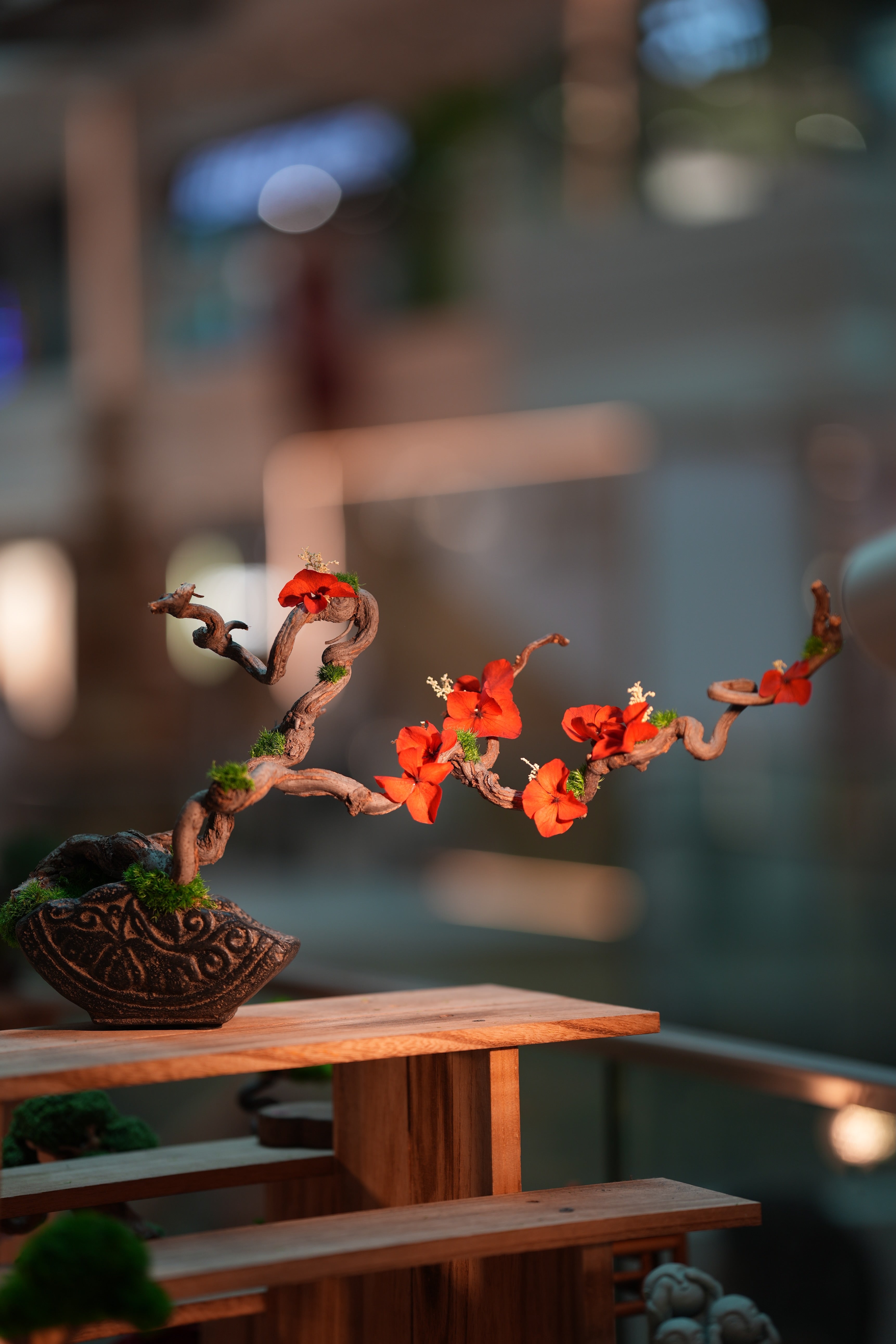 Slow Wood - The Journey - Larger edition