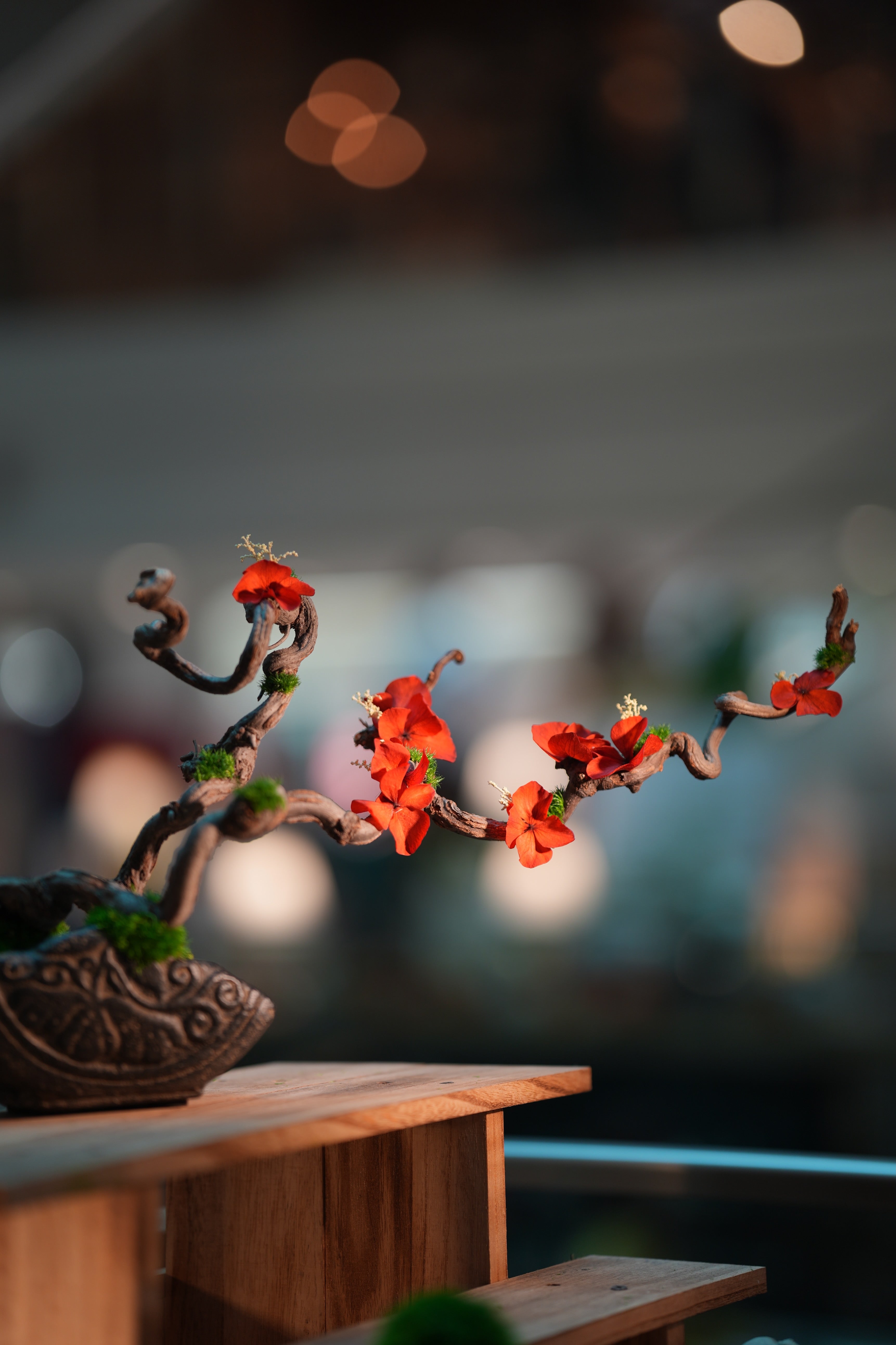 Slow Wood - The Journey - Larger edition