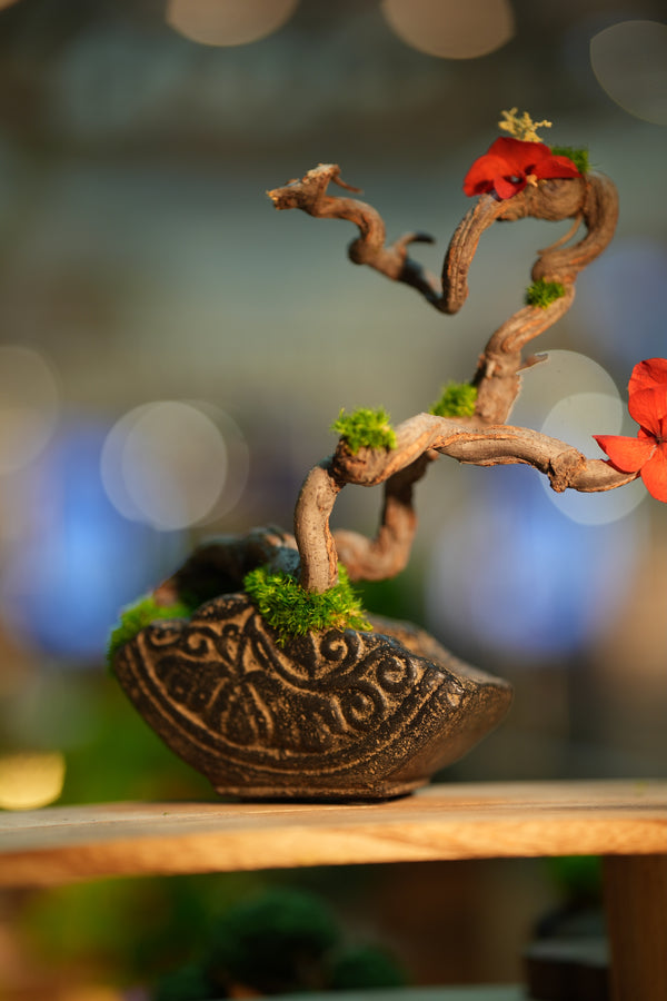 Slow Wood - The Journey - Larger edition