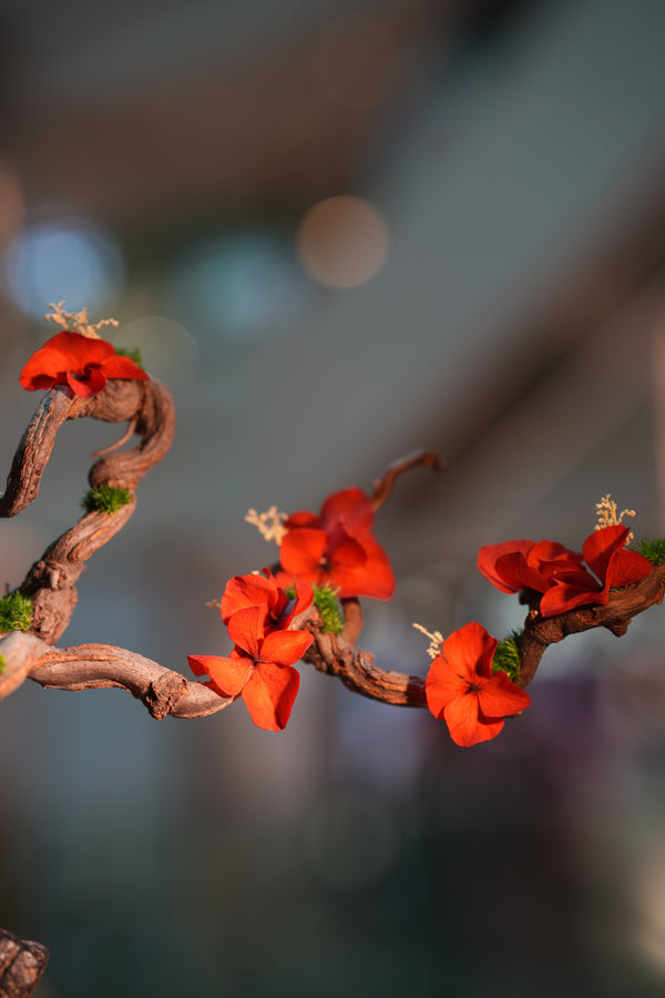 Slow Wood - The Journey - Larger edition