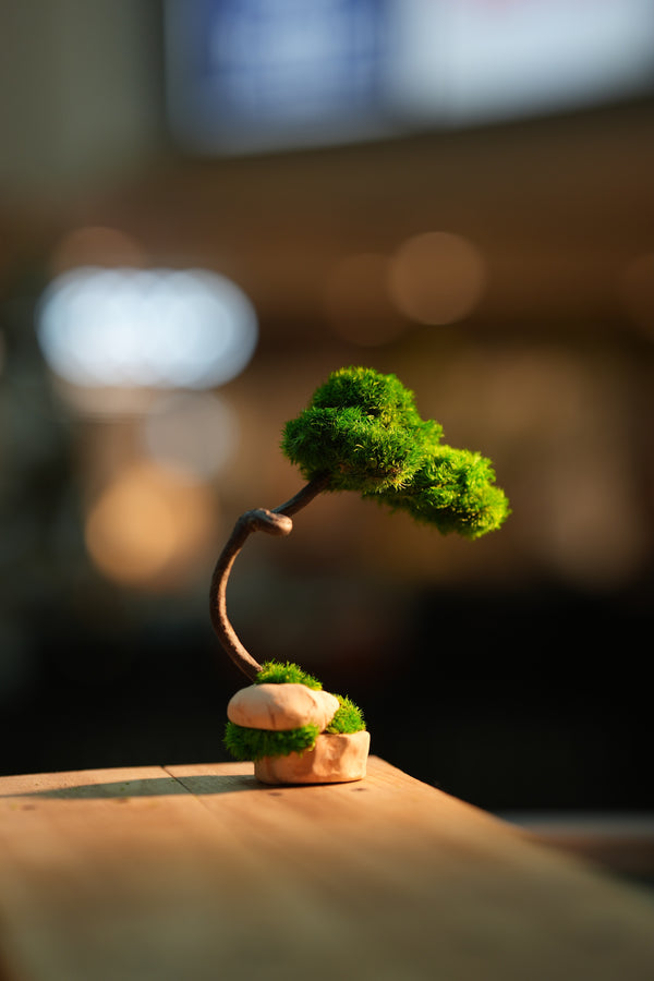 Small Tree in the East - Classics