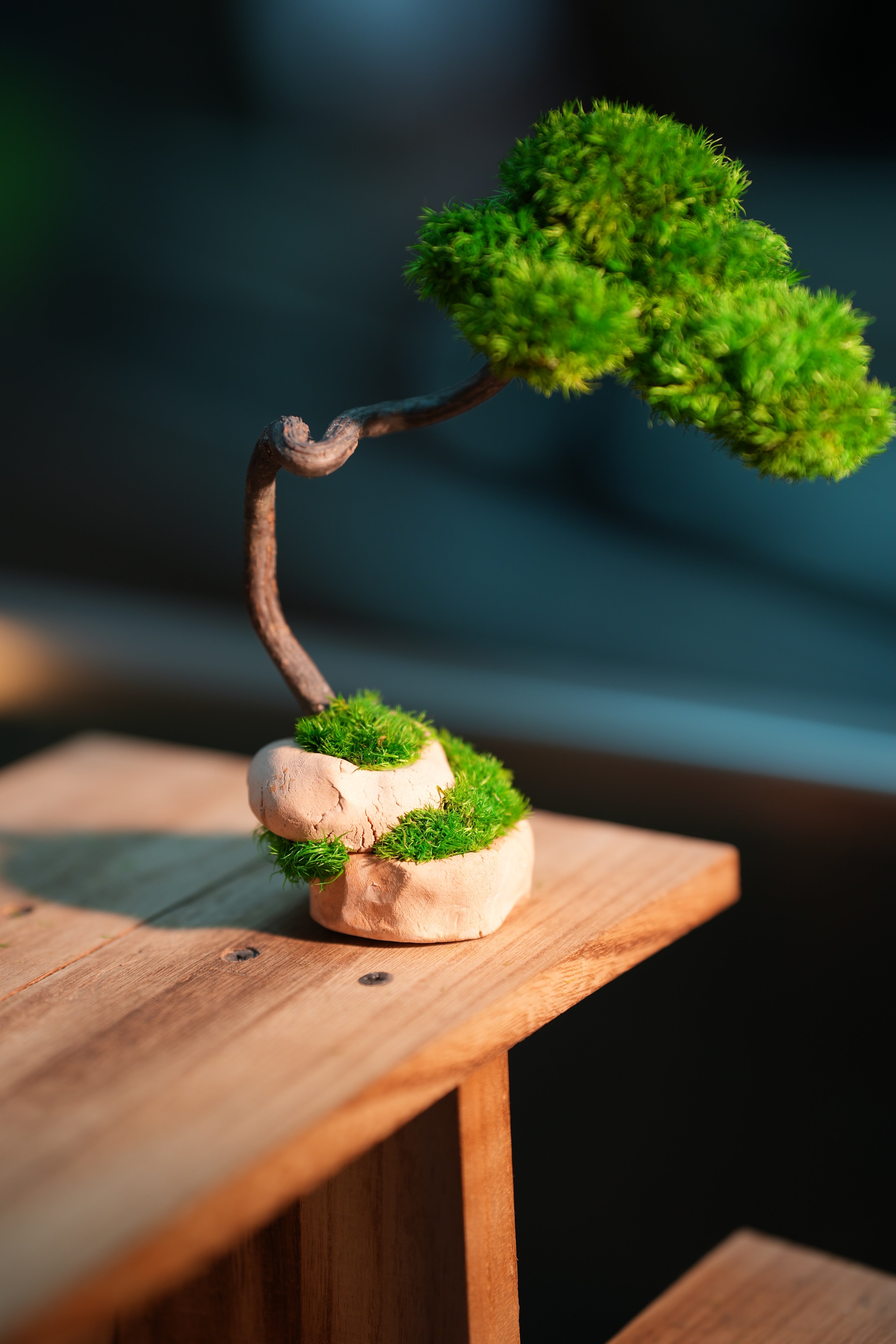 Small Tree in the East - Classics