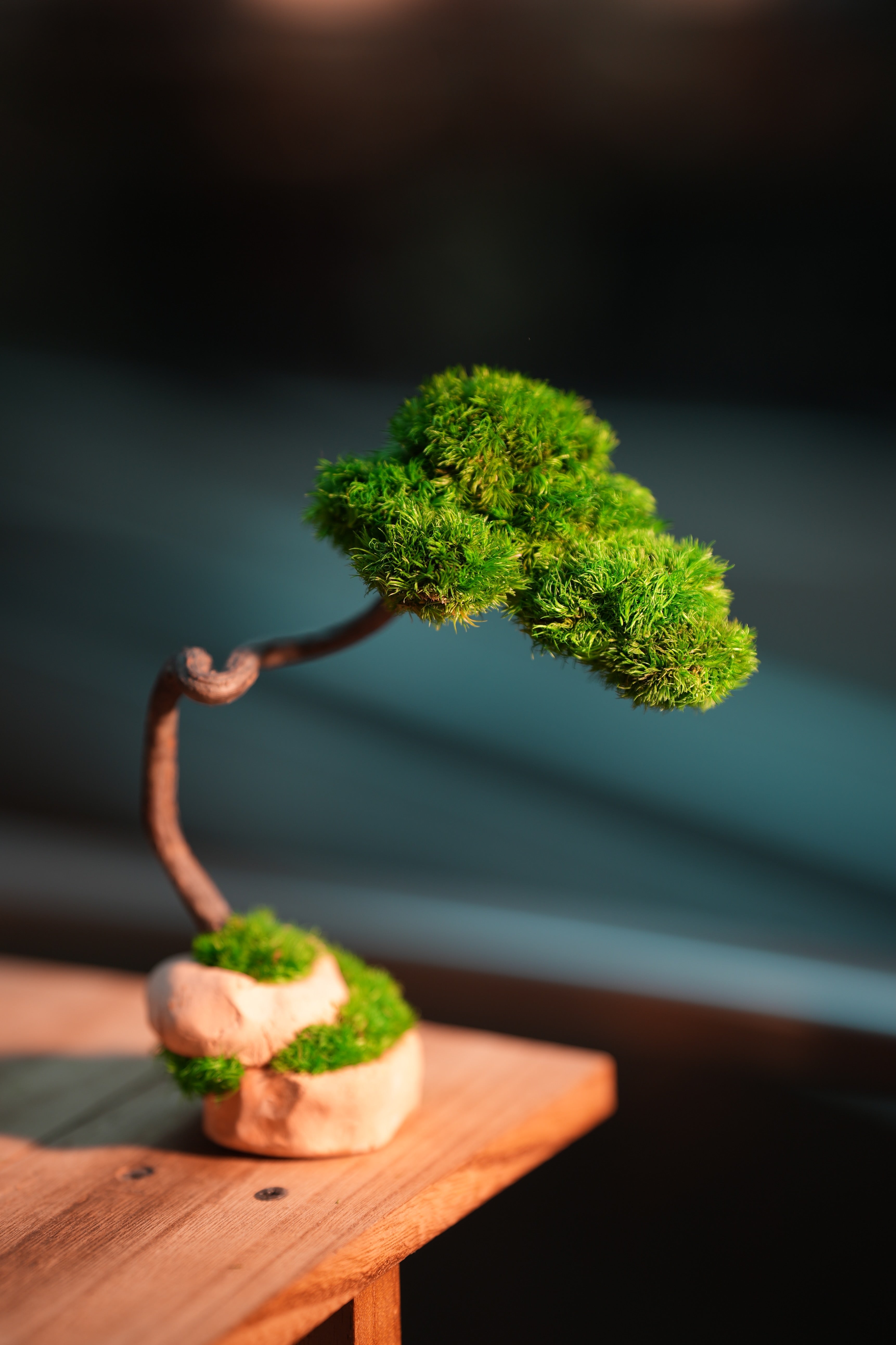 Small Tree in the East - Classics