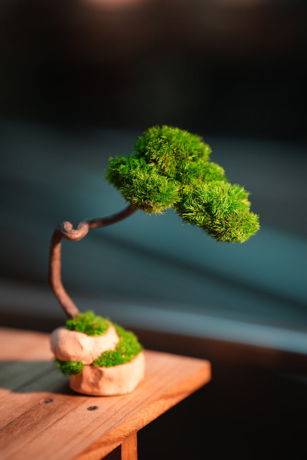 Small Tree in the East - Classics