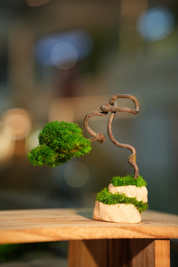 Light in the Garden - Dancer