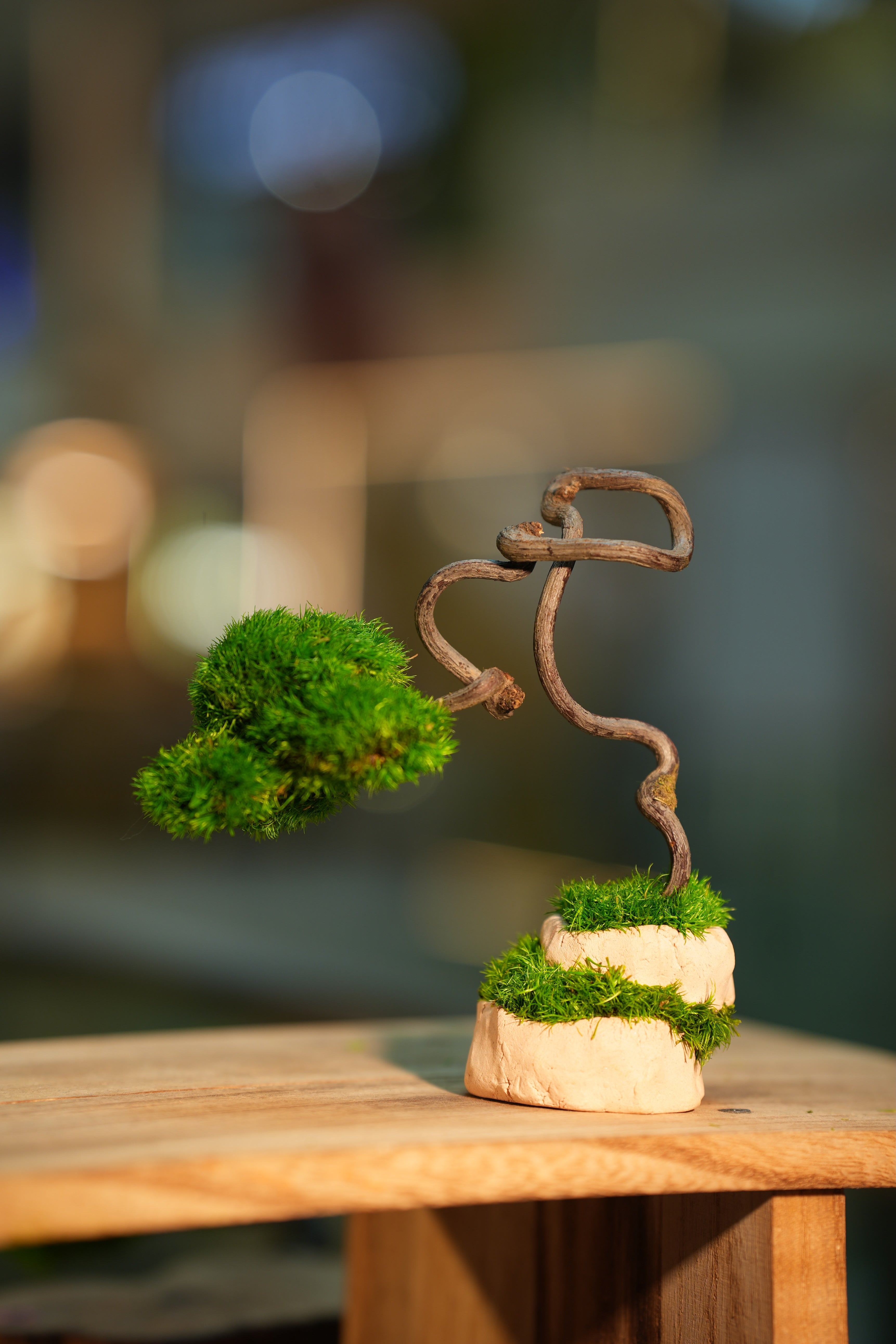 Light in the Garden - Dancer