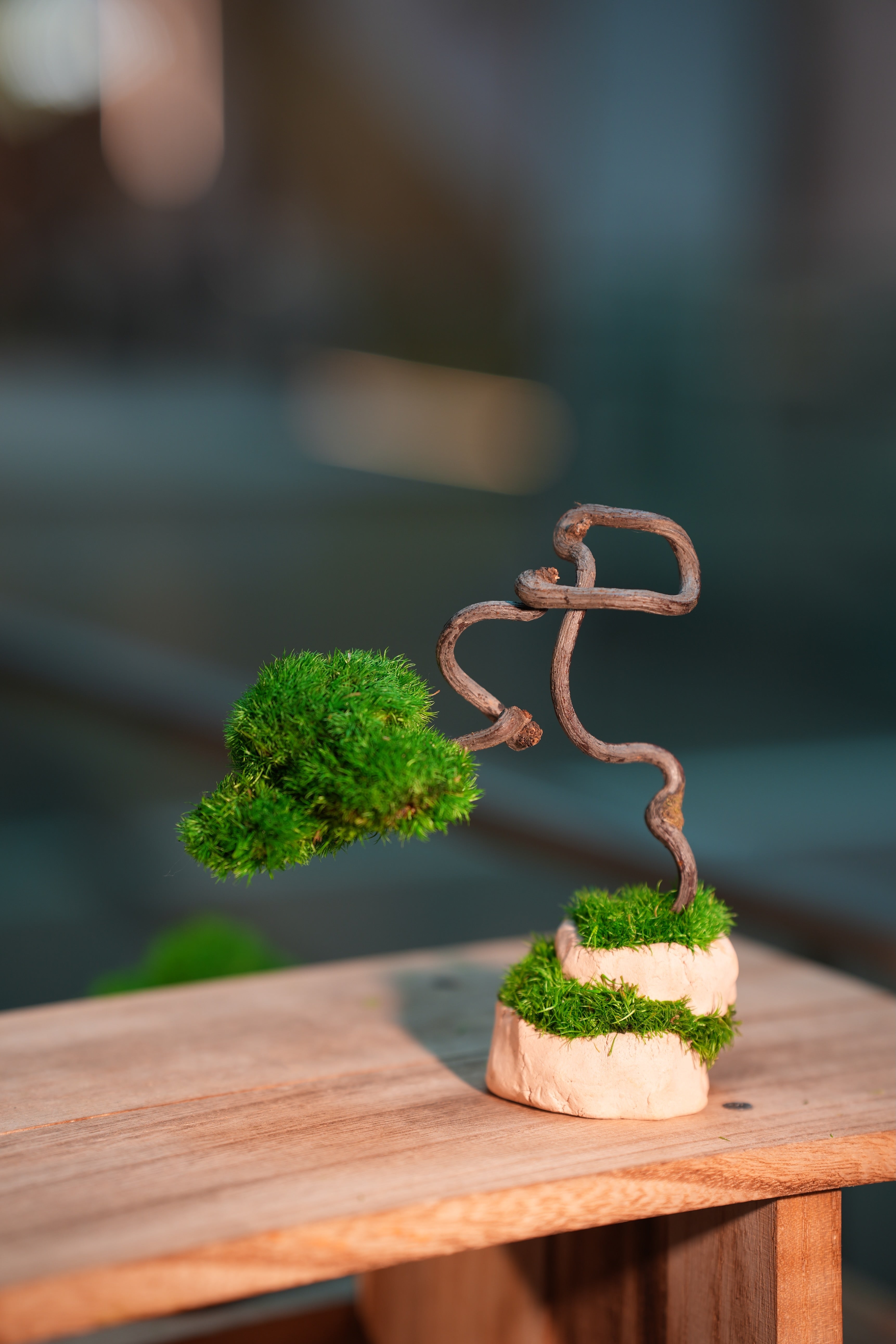 Light in the Garden - Dancer