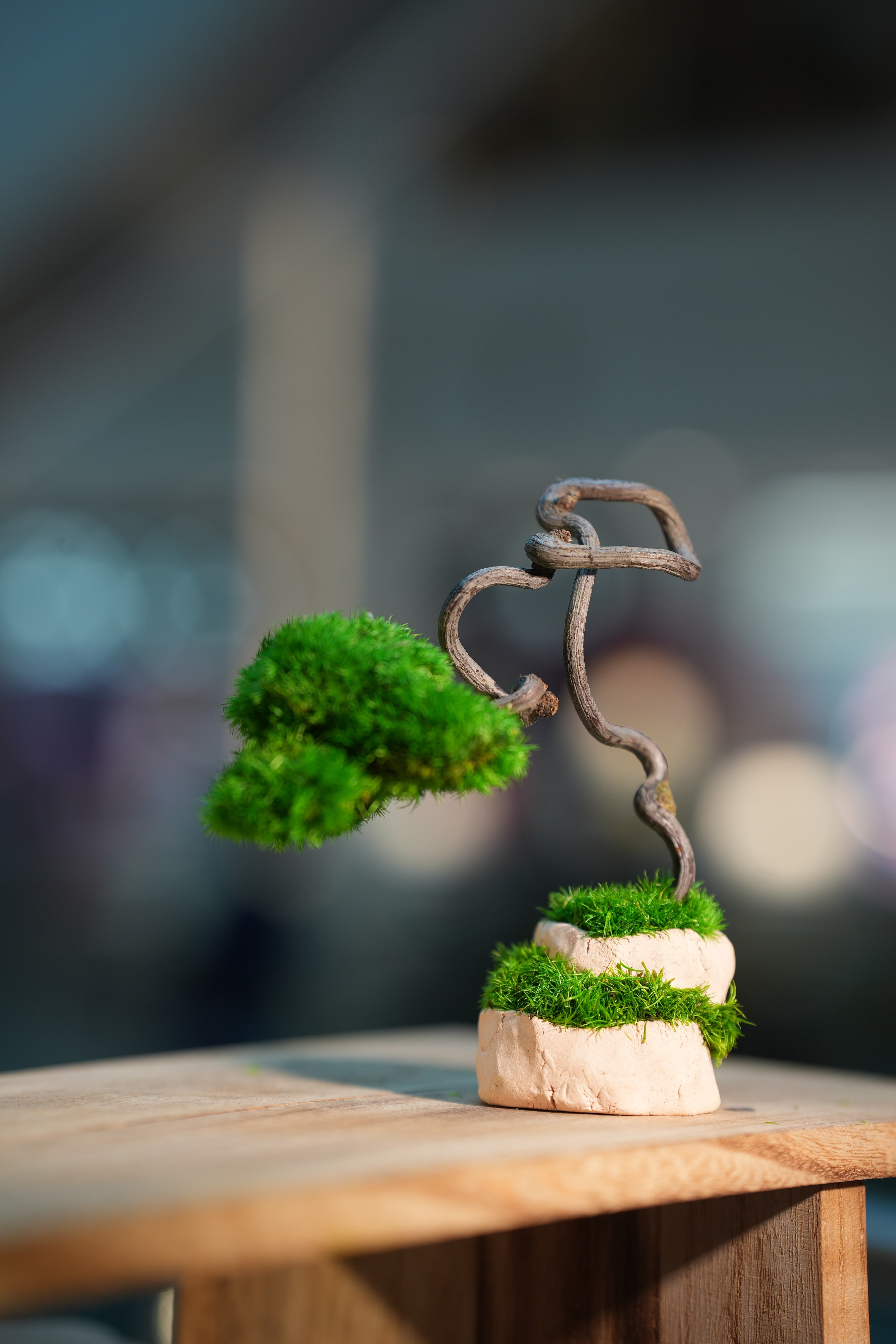 Light in the Garden - Dancer