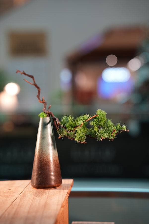 Writer of the Cultured Garden