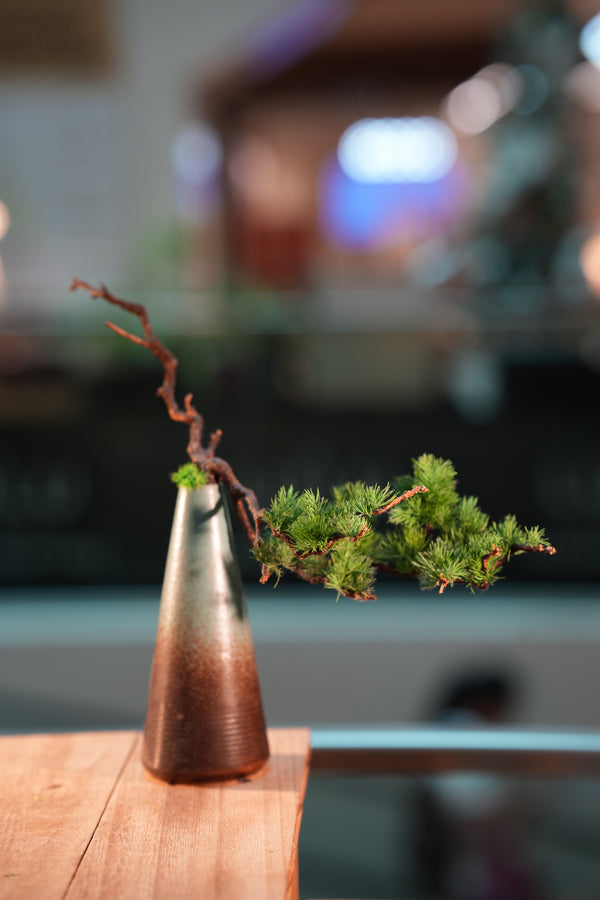 Writer of the Cultured Garden