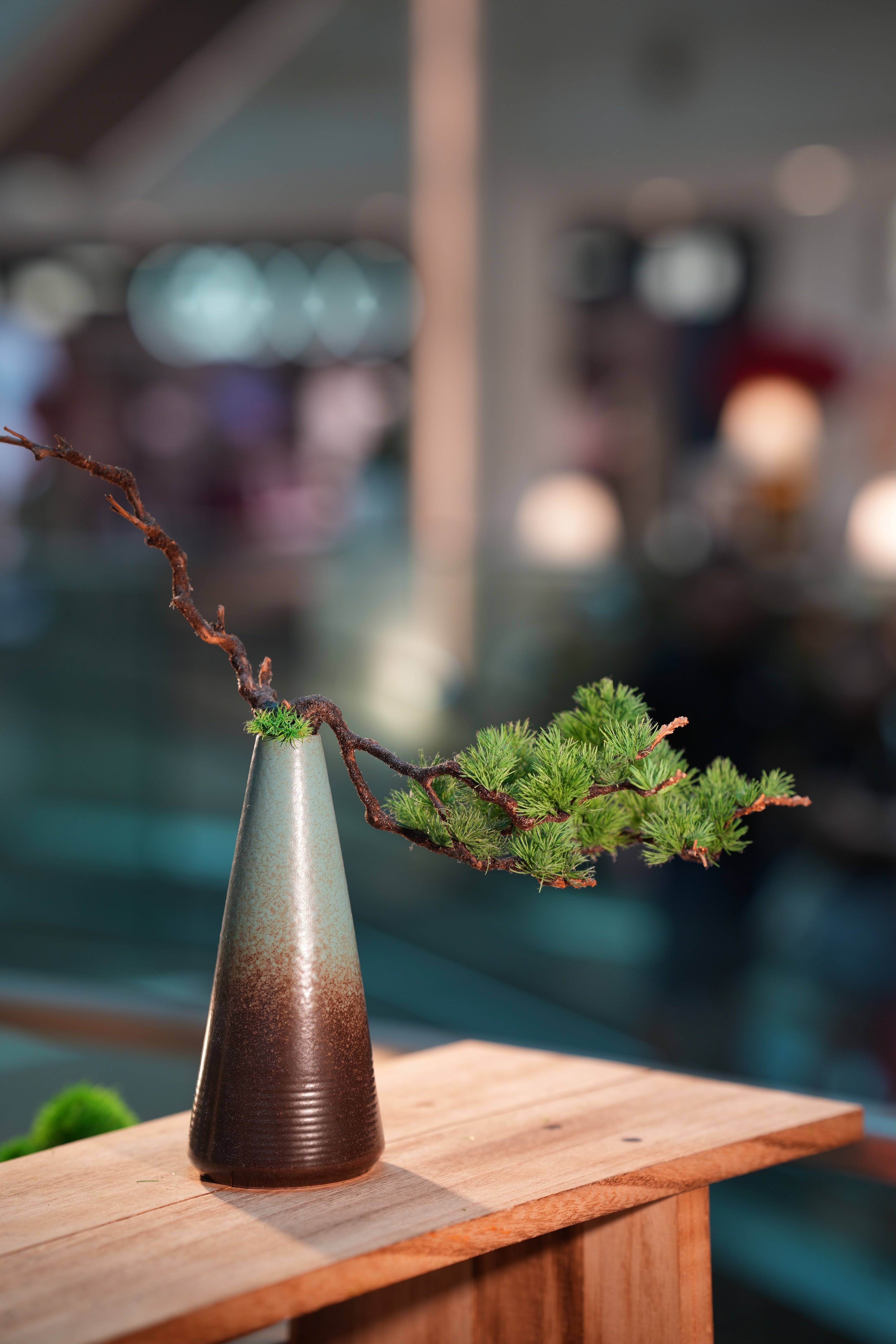 Writer of the Cultured Garden