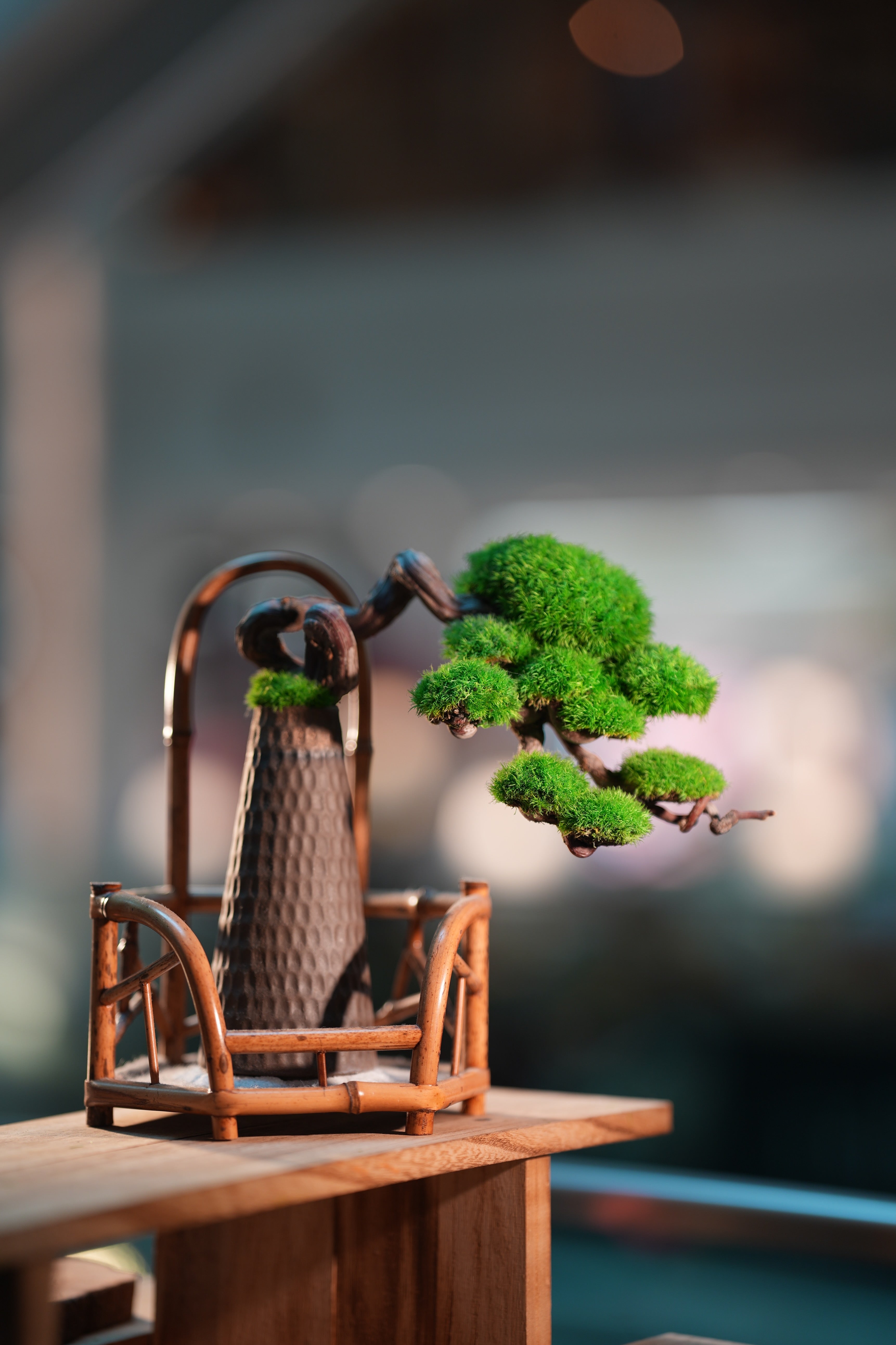 Rosewood - Teaman's Garden