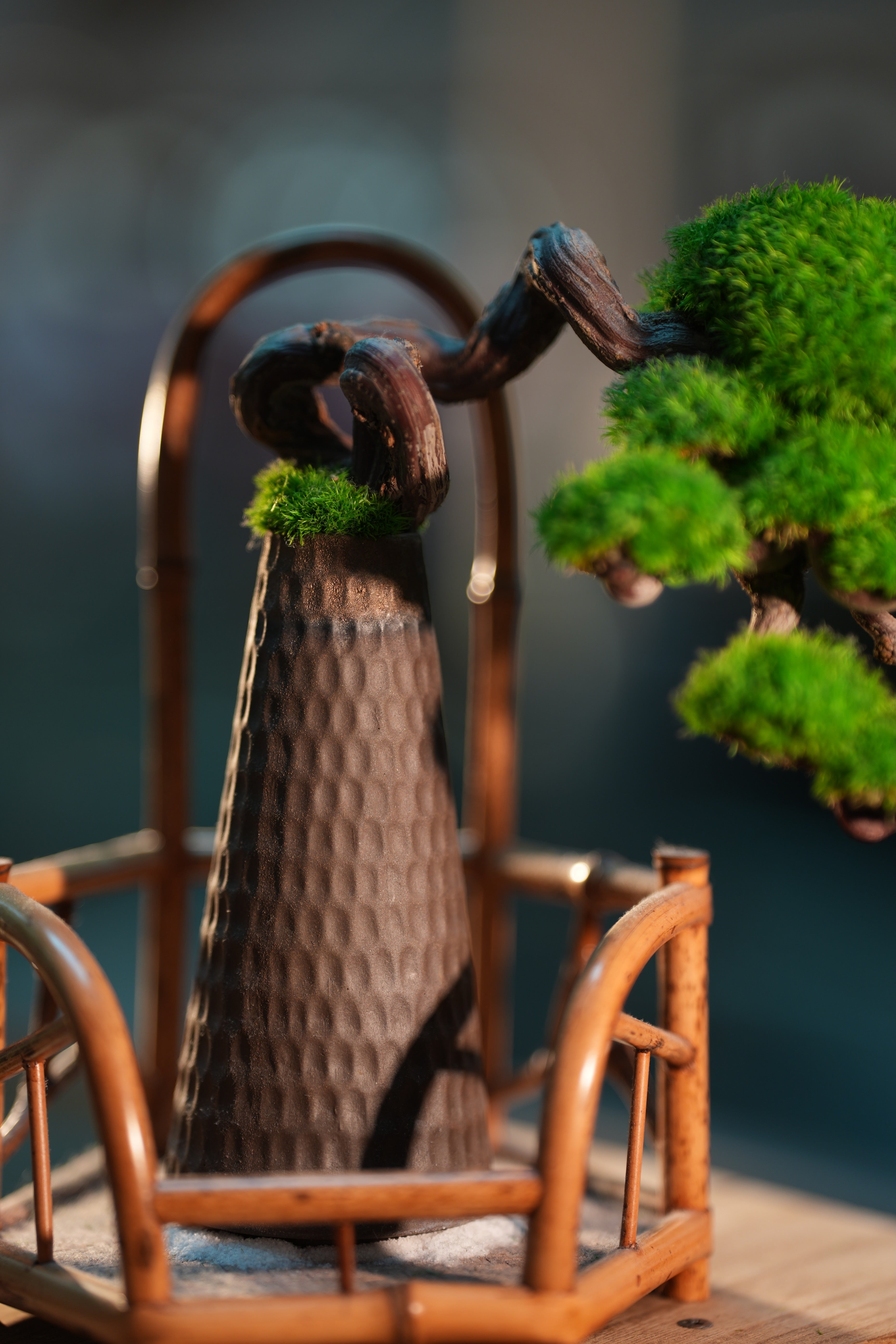 Rosewood - Teaman's Garden