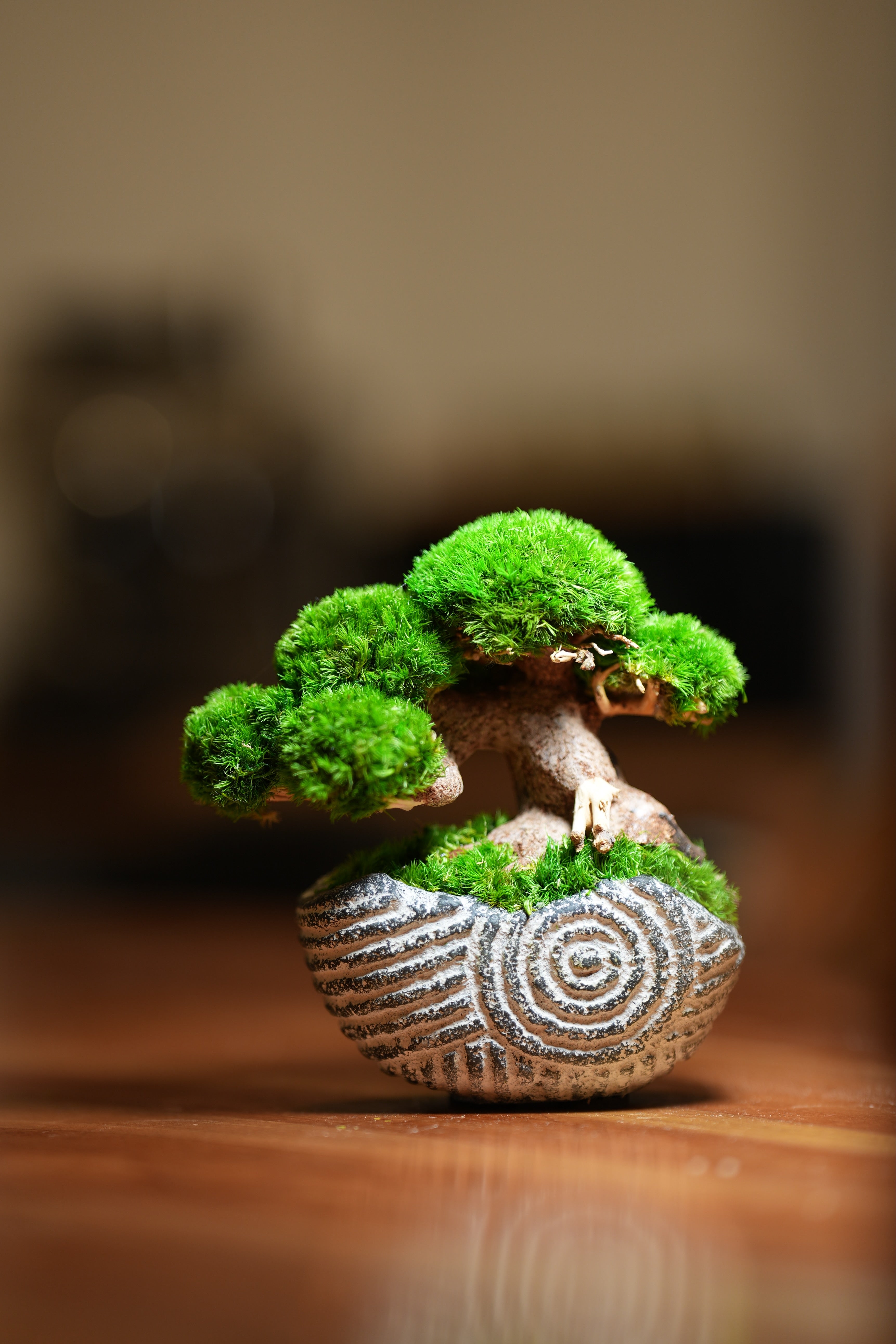 Slow Wood - Young - Spiral