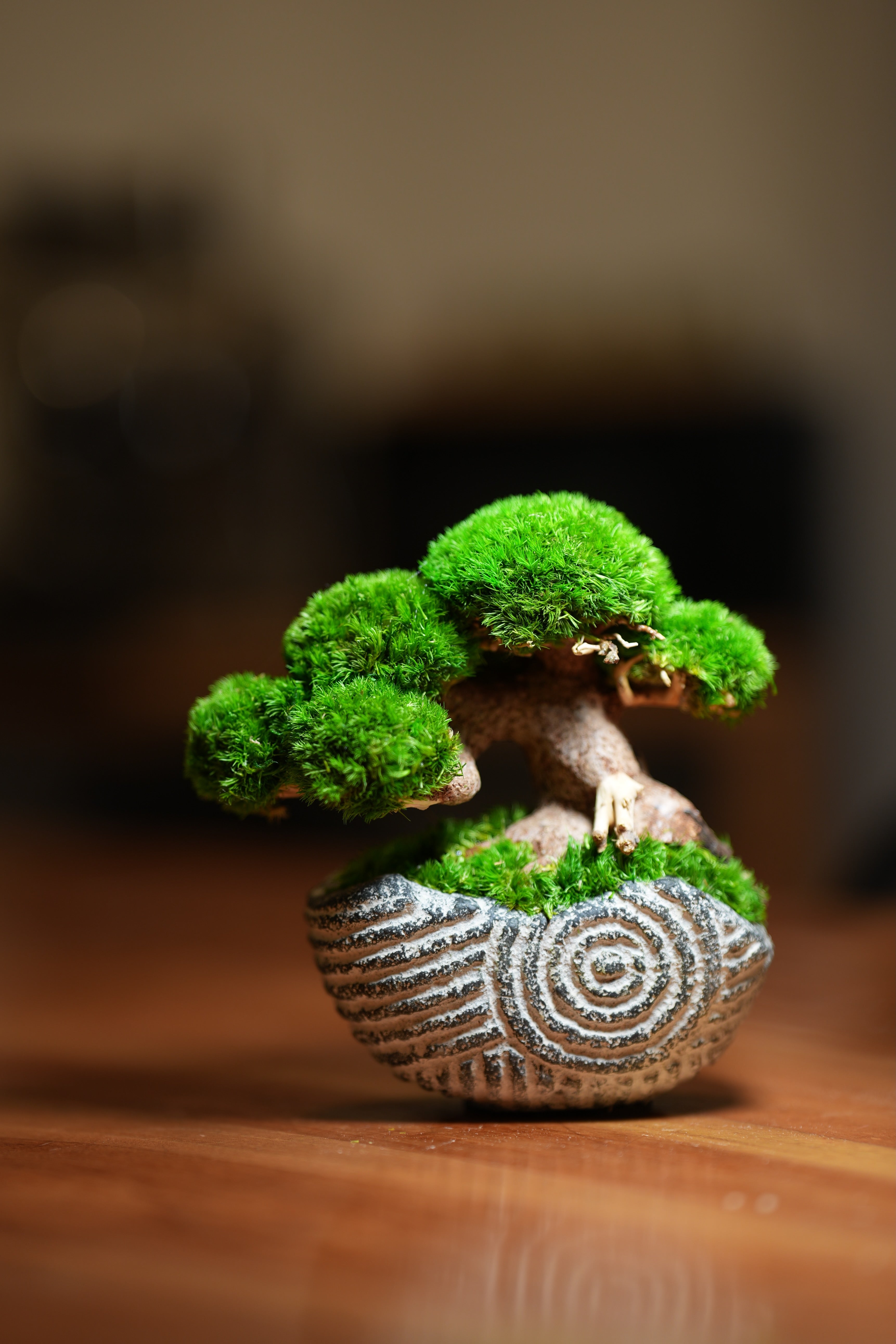 Slow Wood - Young - Spiral