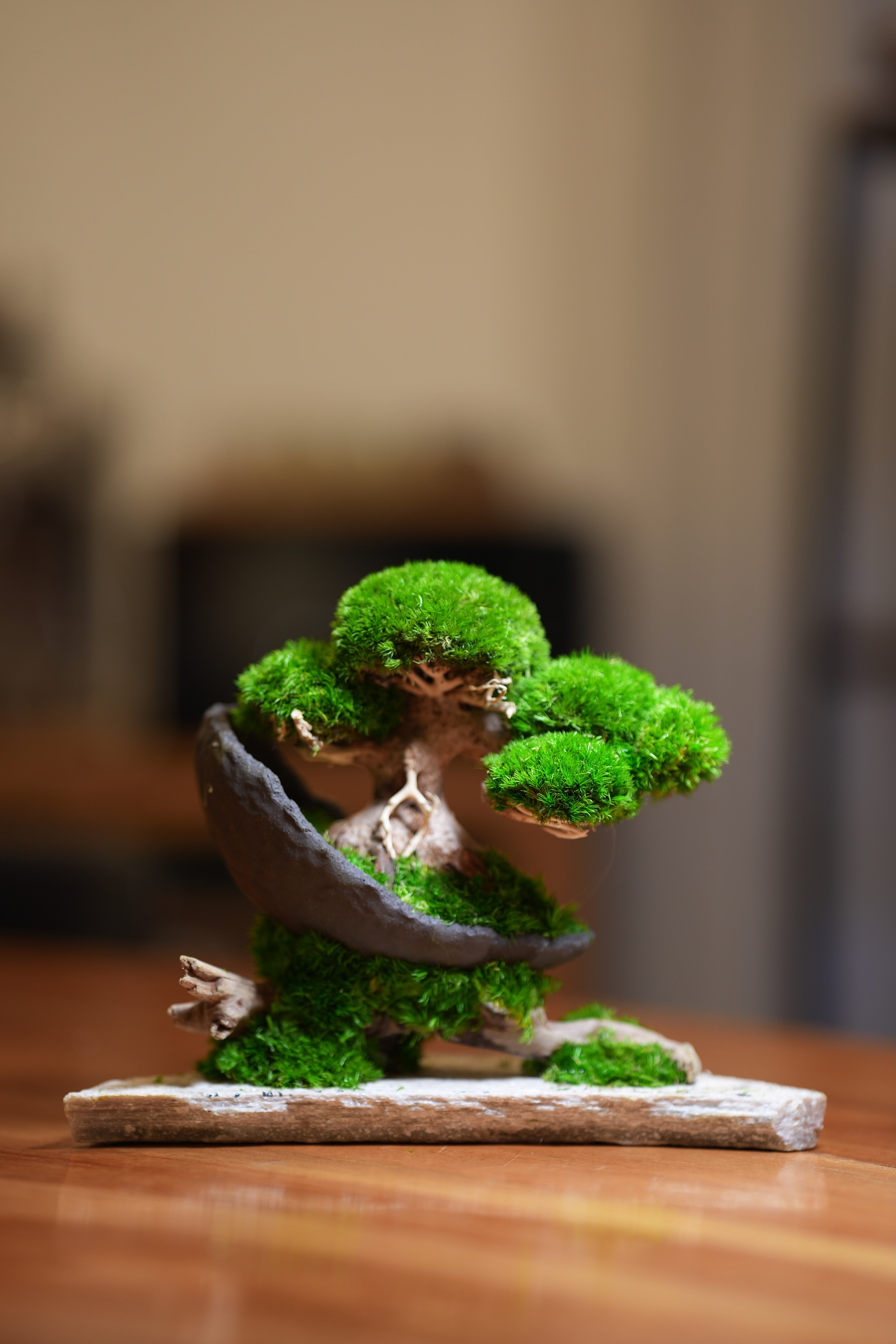 Slow Wood - Young - Crescent - Driftwood