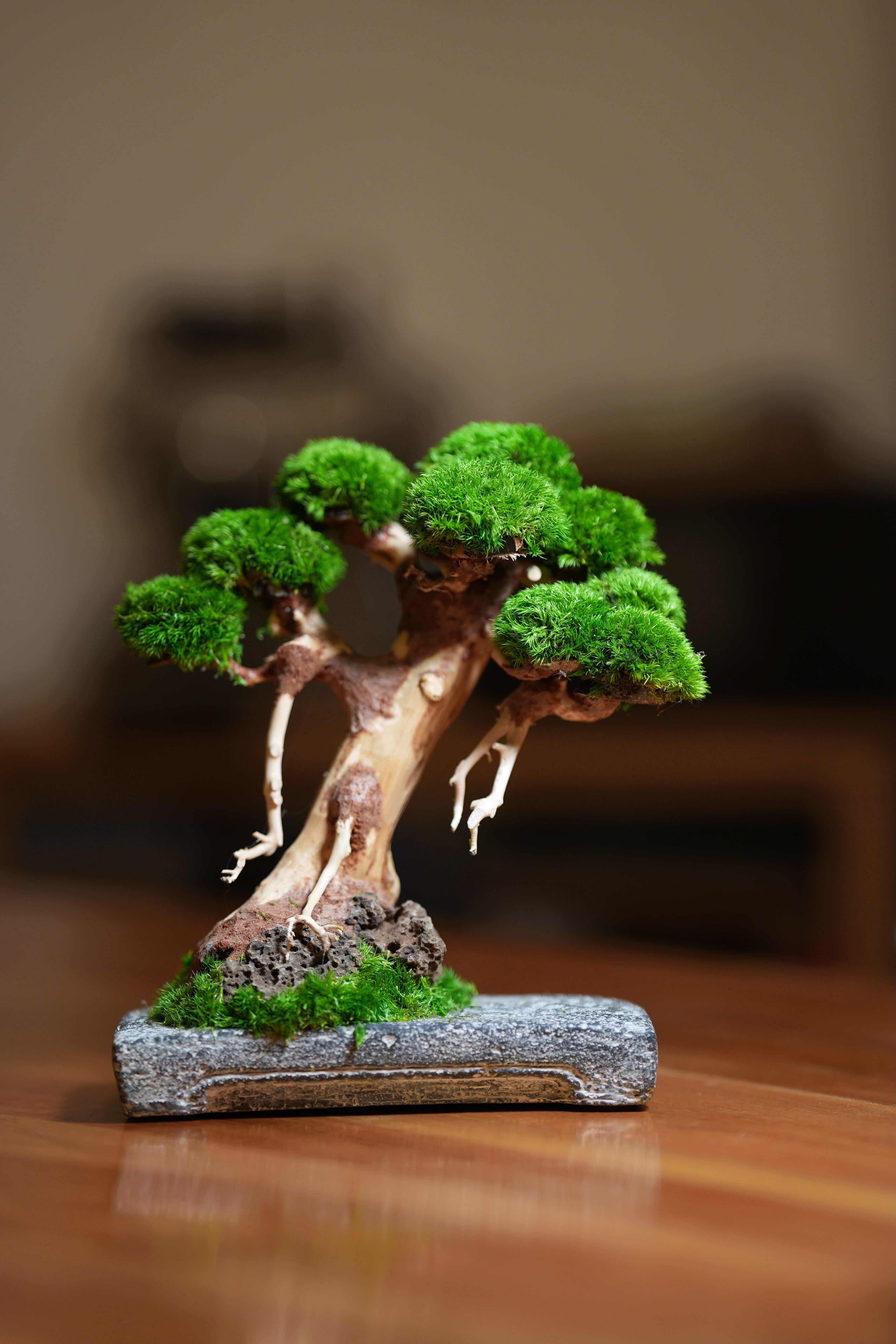 Slow Wood - Maverick