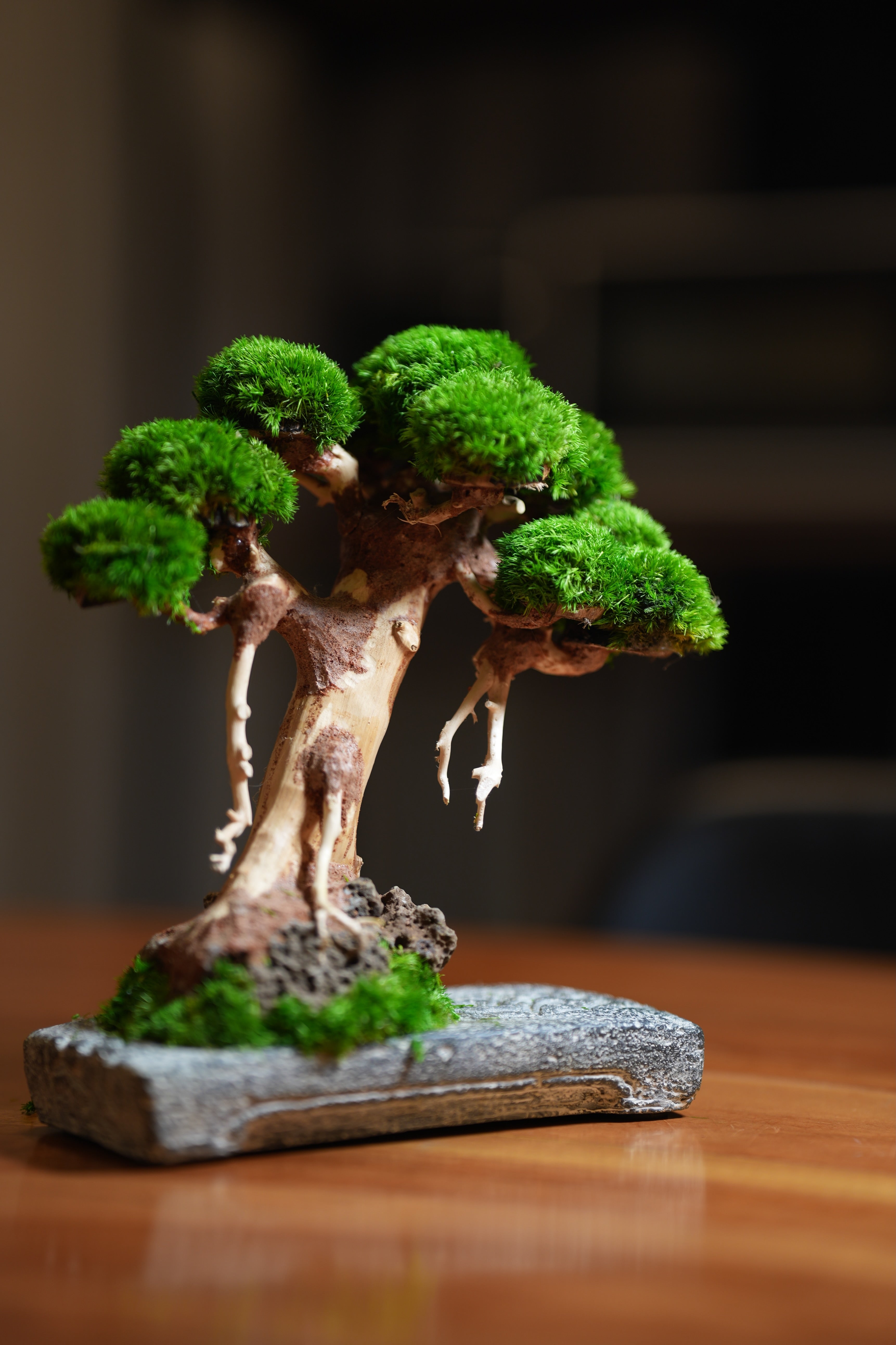 Slow Wood - Maverick