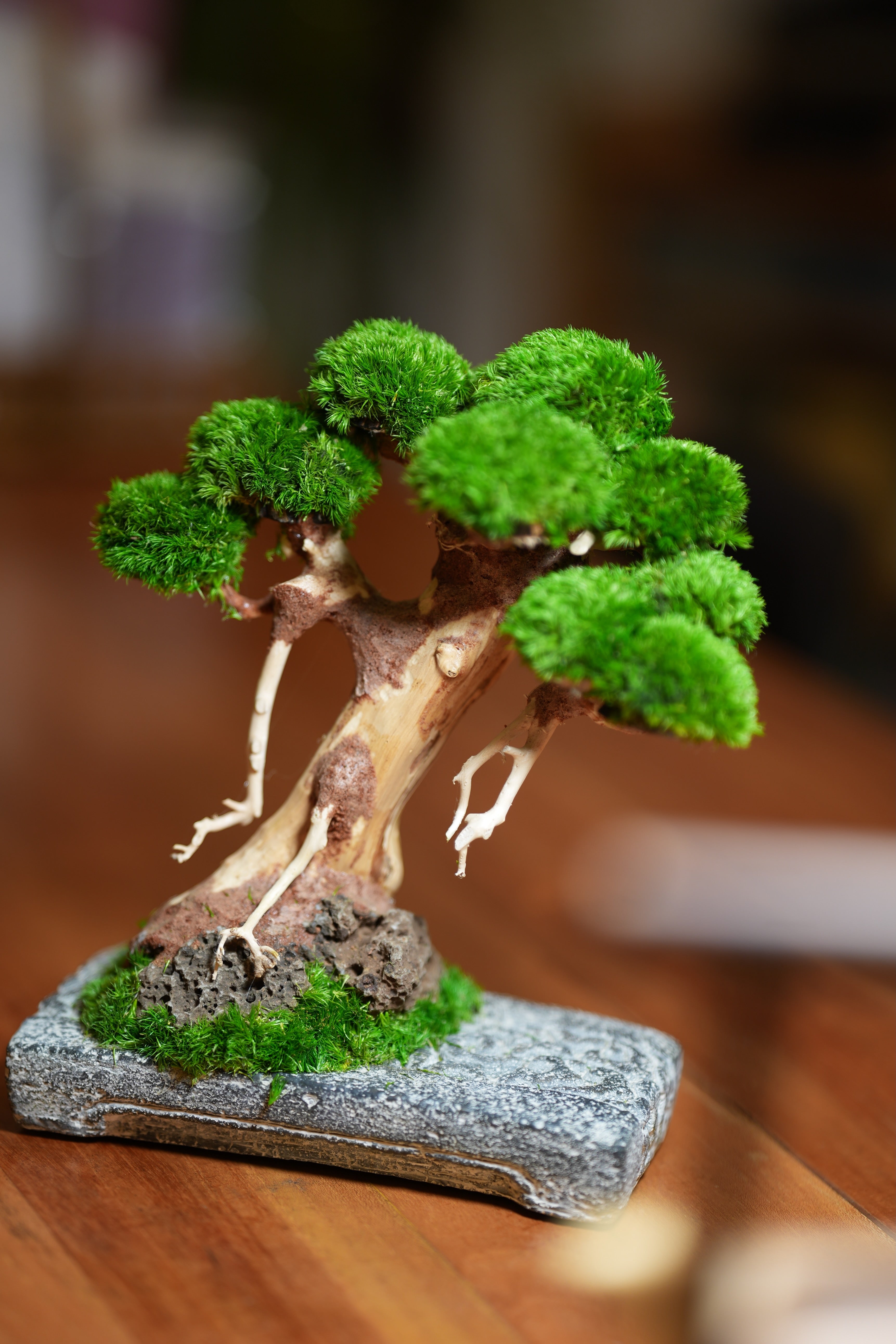 Slow Wood - Maverick