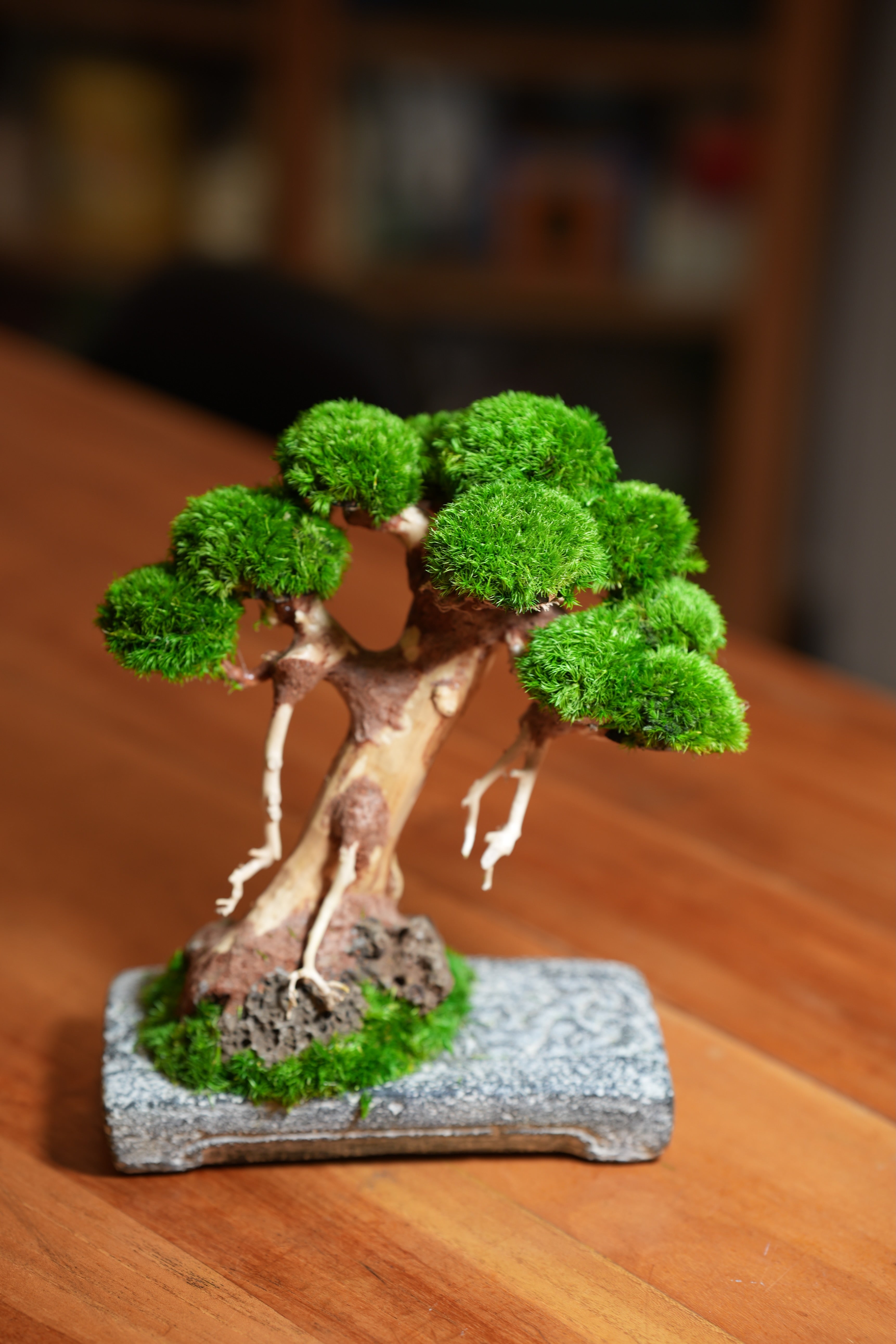 Slow Wood - Maverick