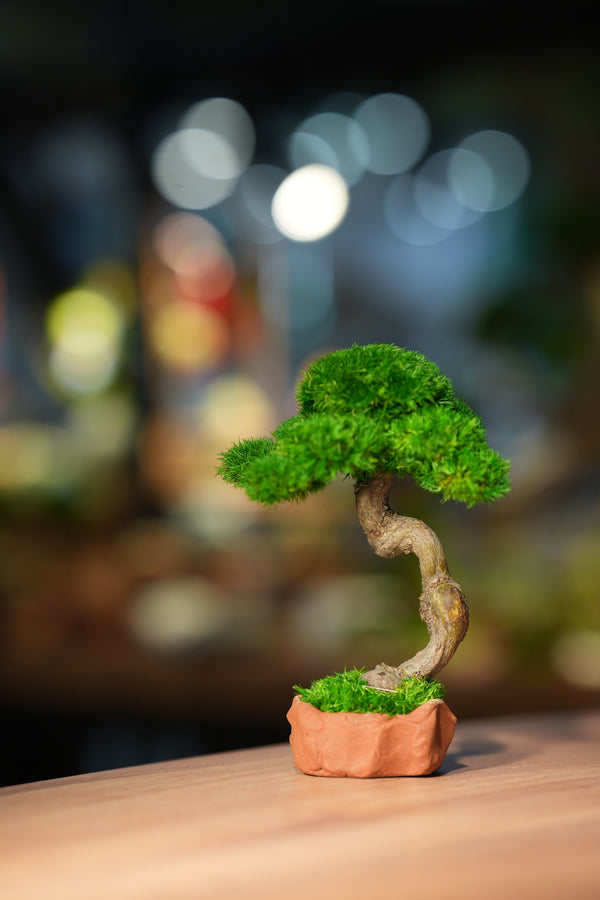 Rosewood - Classics - Smaller