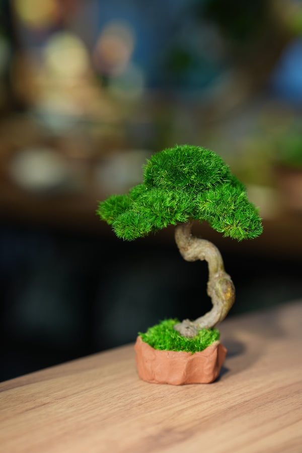 Rosewood - Classics - Smaller