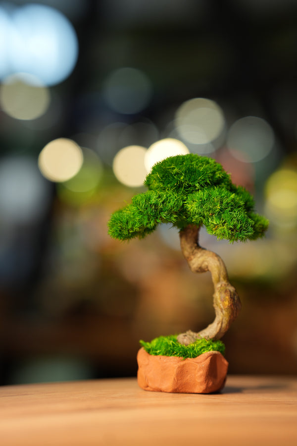 Rosewood - Classics - Smaller