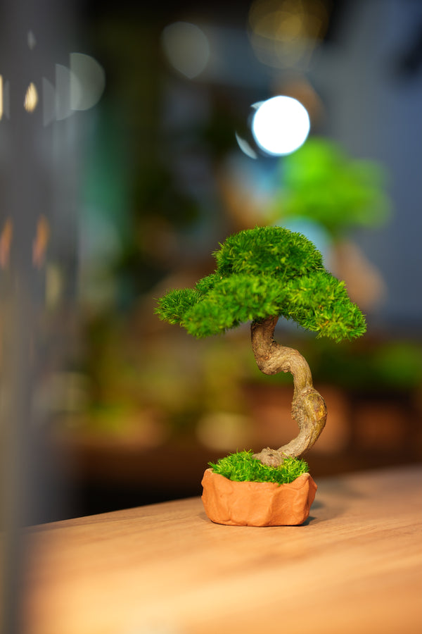 Rosewood - Classics - Smaller