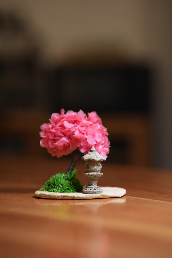 A Small Tree in the East - Sakura - Lantern in the East