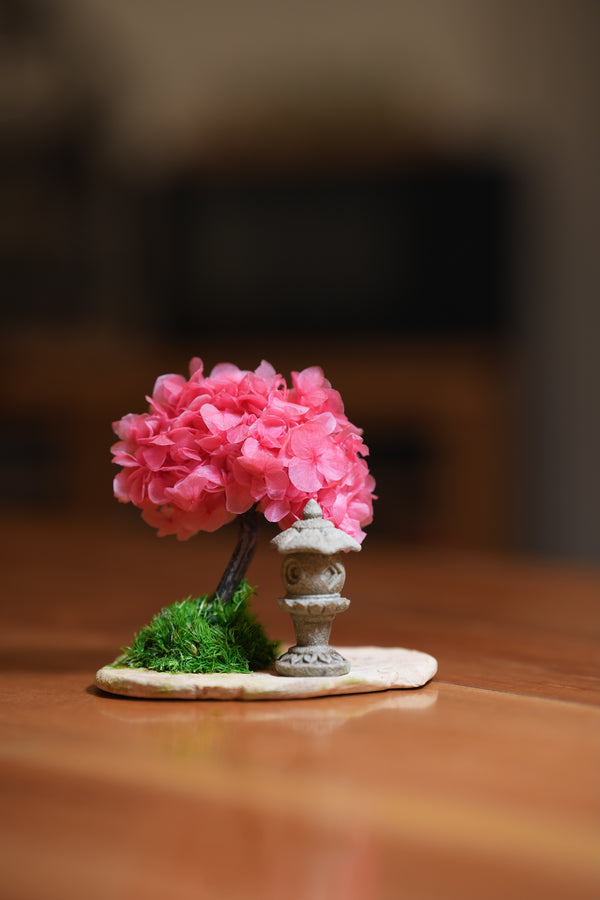 A Small Tree in the East - Sakura - Lantern in the East