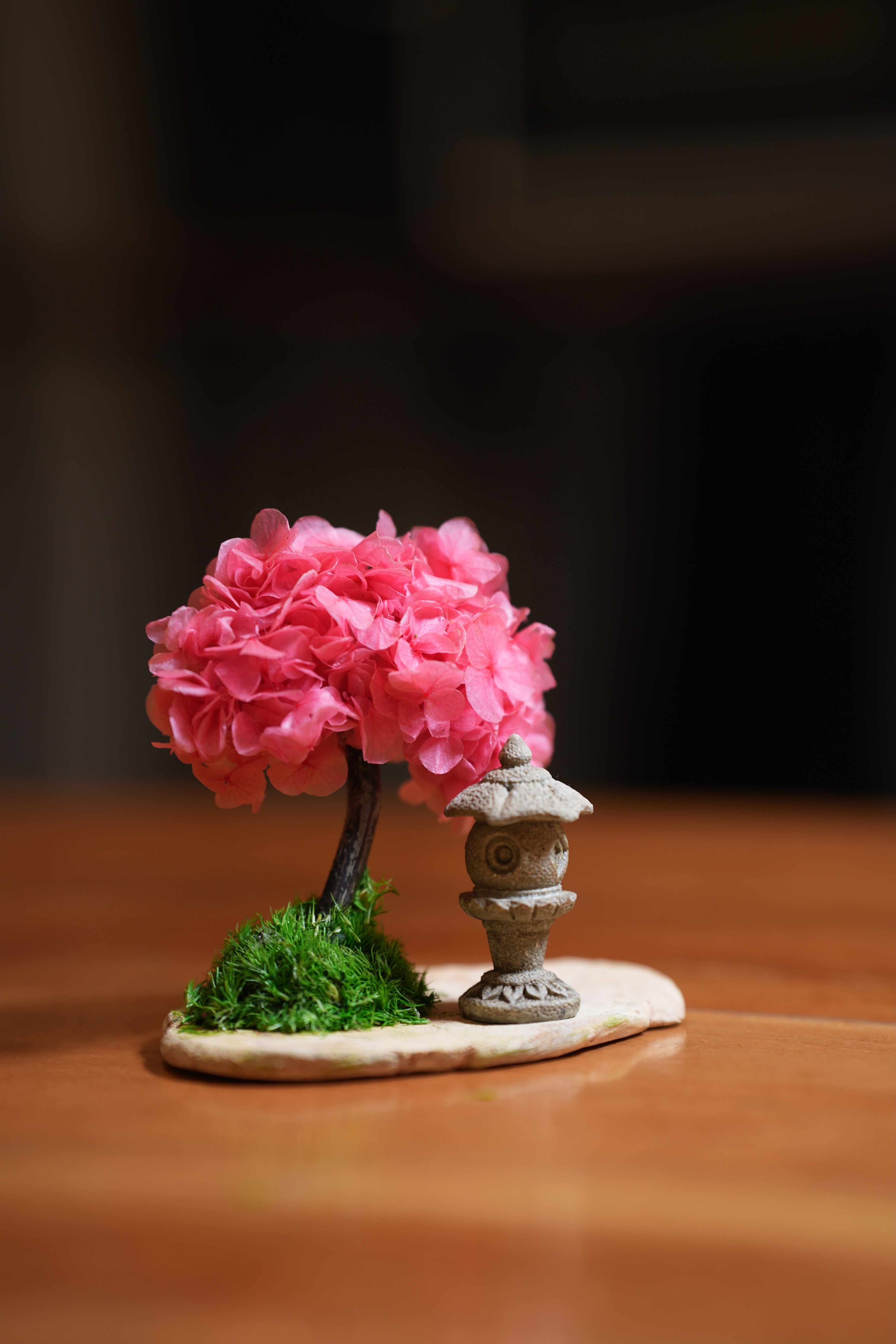 A Small Tree in the East - Sakura - Lantern in the East