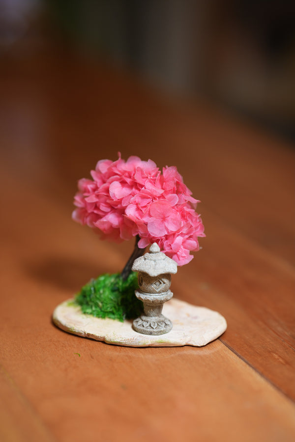 A Small Tree in the East - Sakura - Lantern in the East