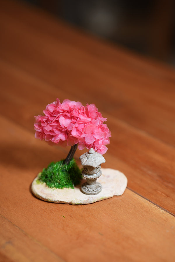 A Small Tree in the East - Sakura - Lantern in the East