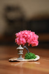 A Small Tree in the East - Sakura - Lantern in the East