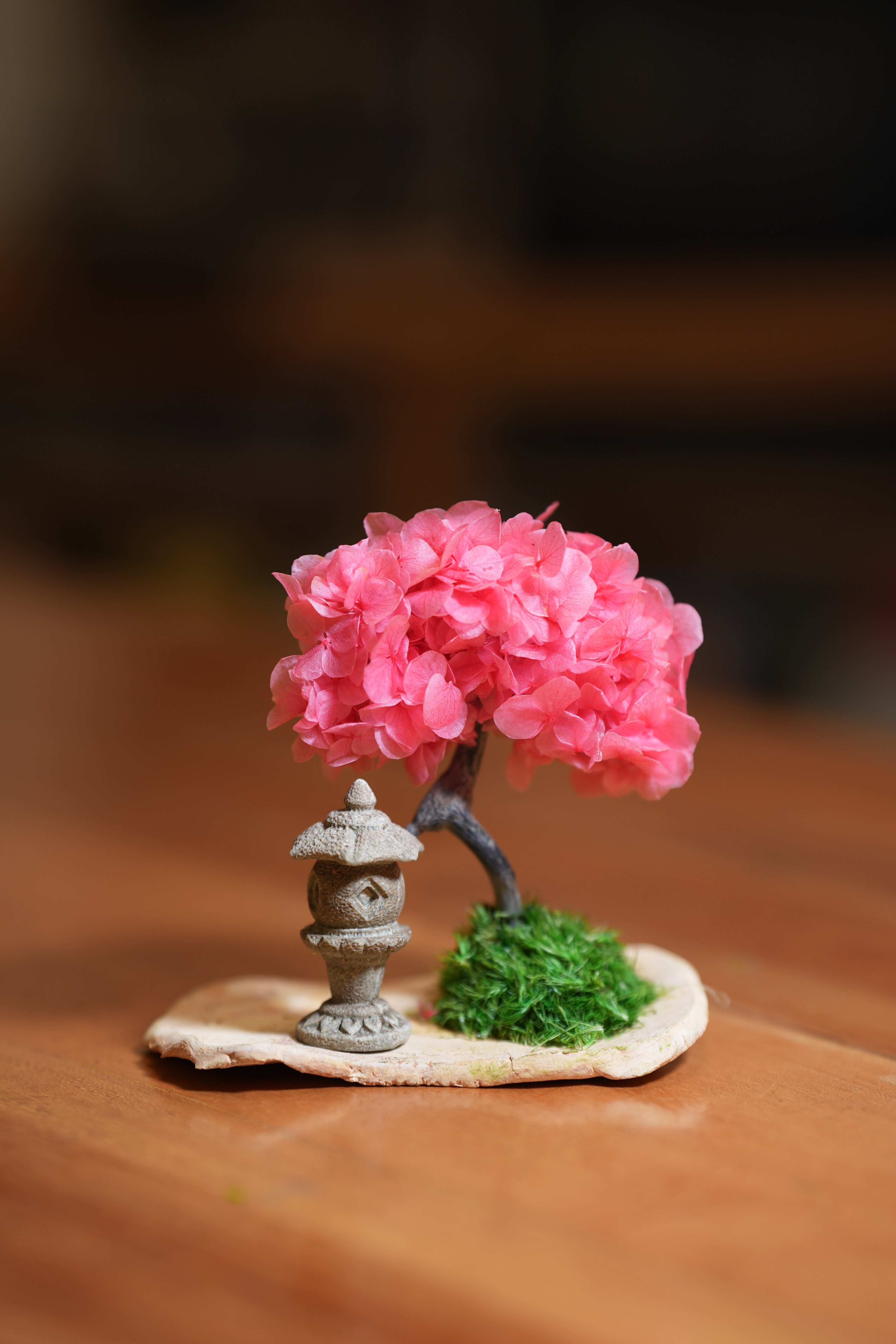 A Small Tree in the East - Sakura - Lantern in the East