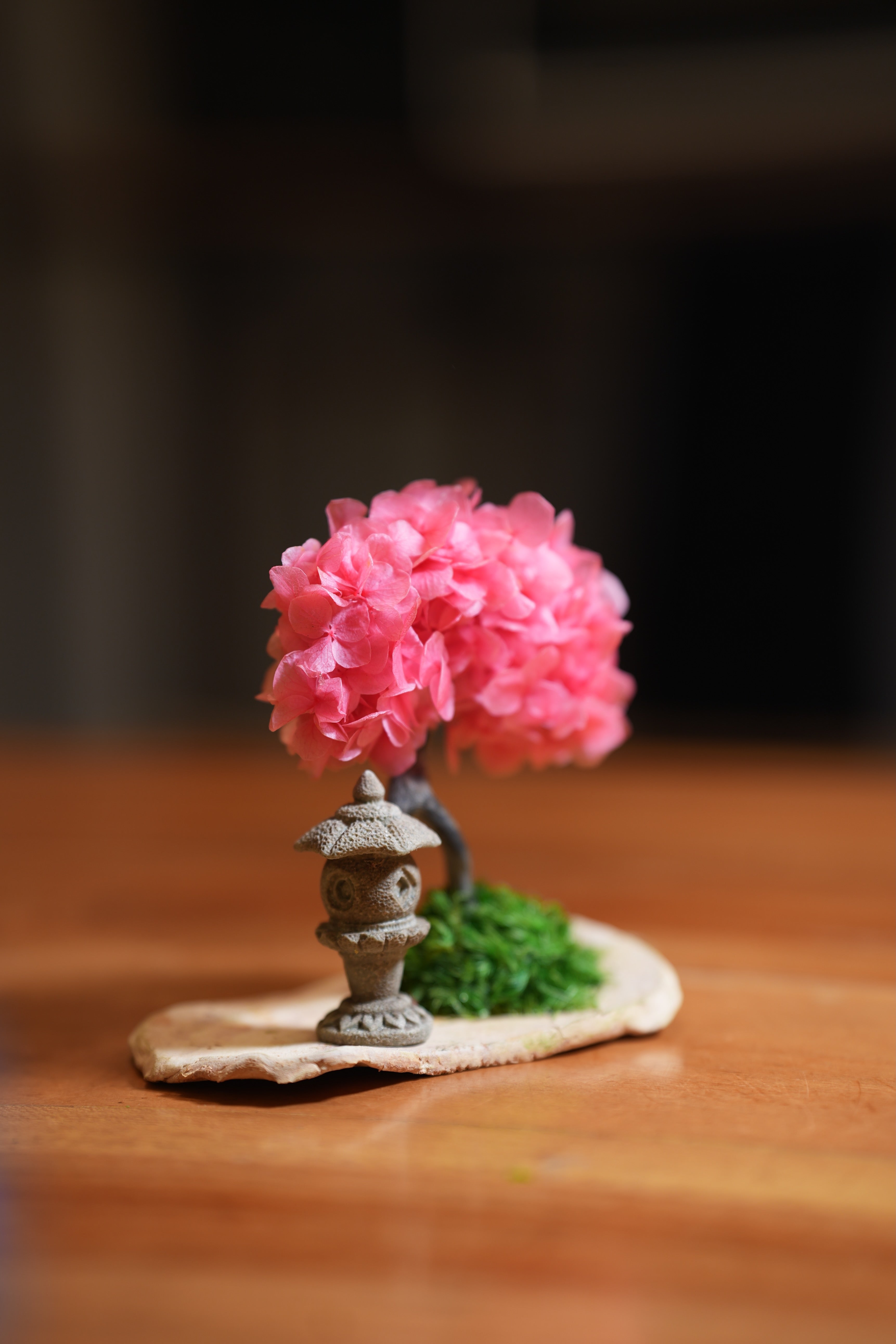 A Small Tree in the East - Sakura - Lantern in the East