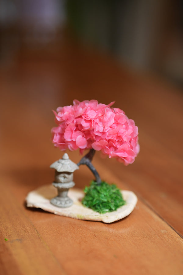 A Small Tree in the East - Sakura - Lantern in the East