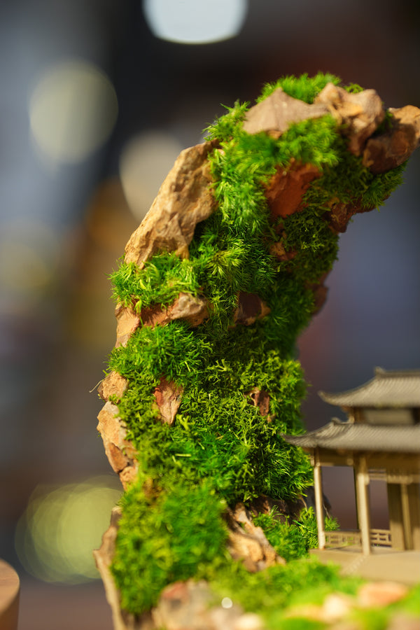 Half-Moon Bay - Crescent