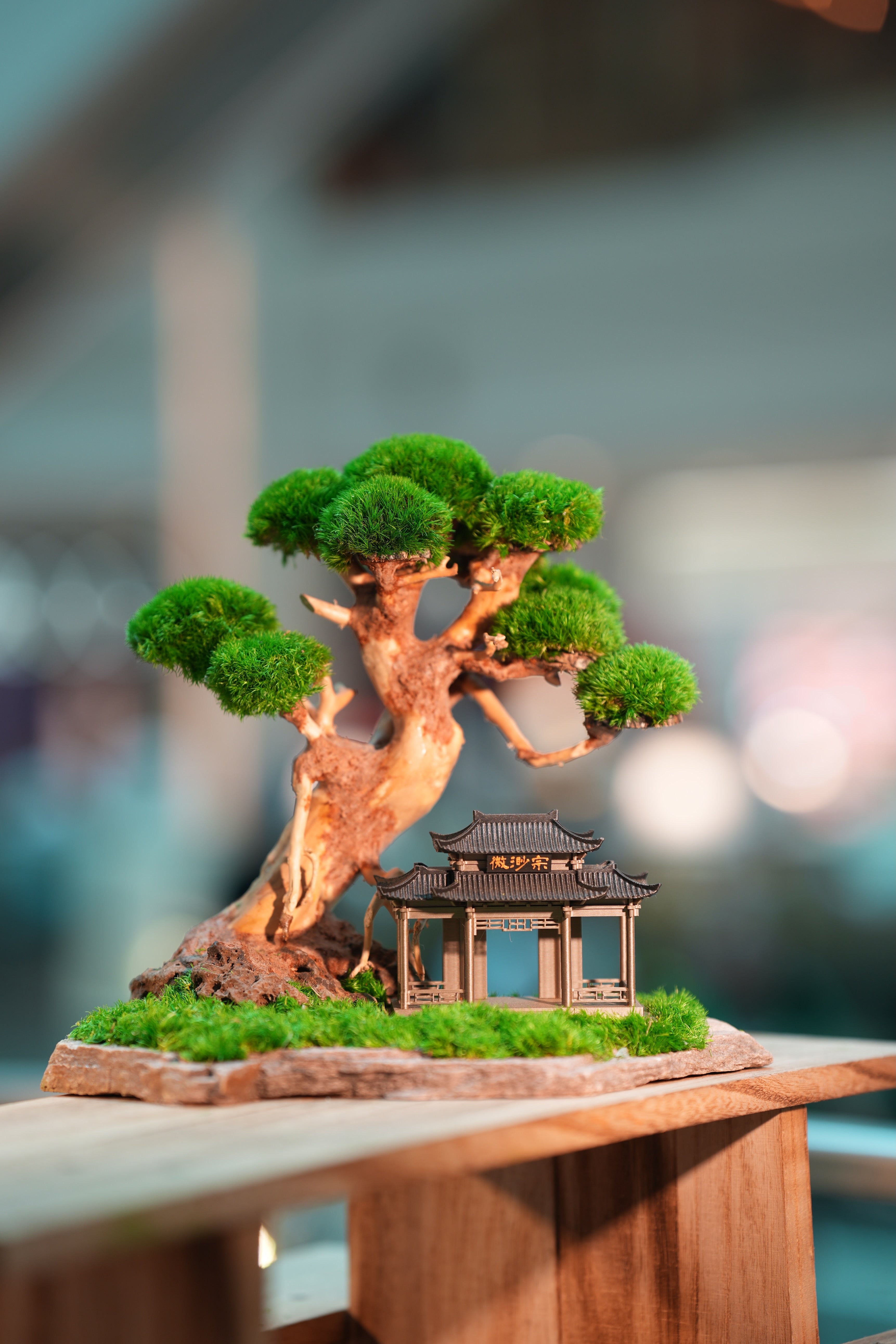 Slow Wood - Maverick - A Path in the East