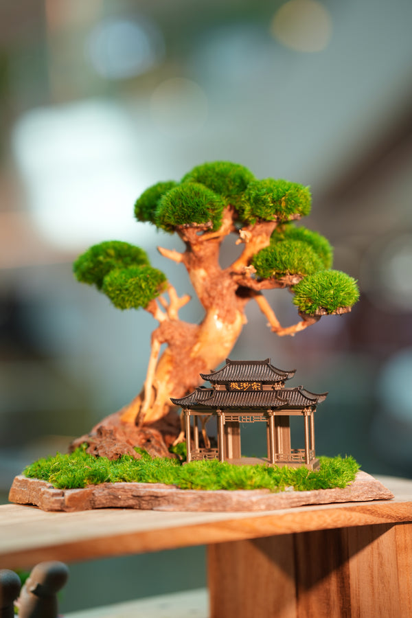 Slow Wood - Maverick - A Path in the East