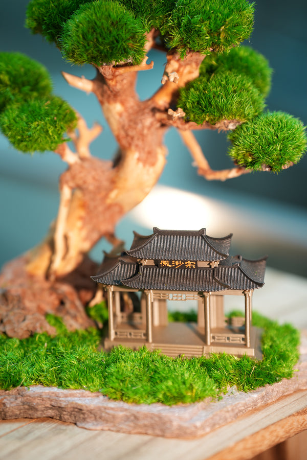 Slow Wood - Maverick - A Path in the East