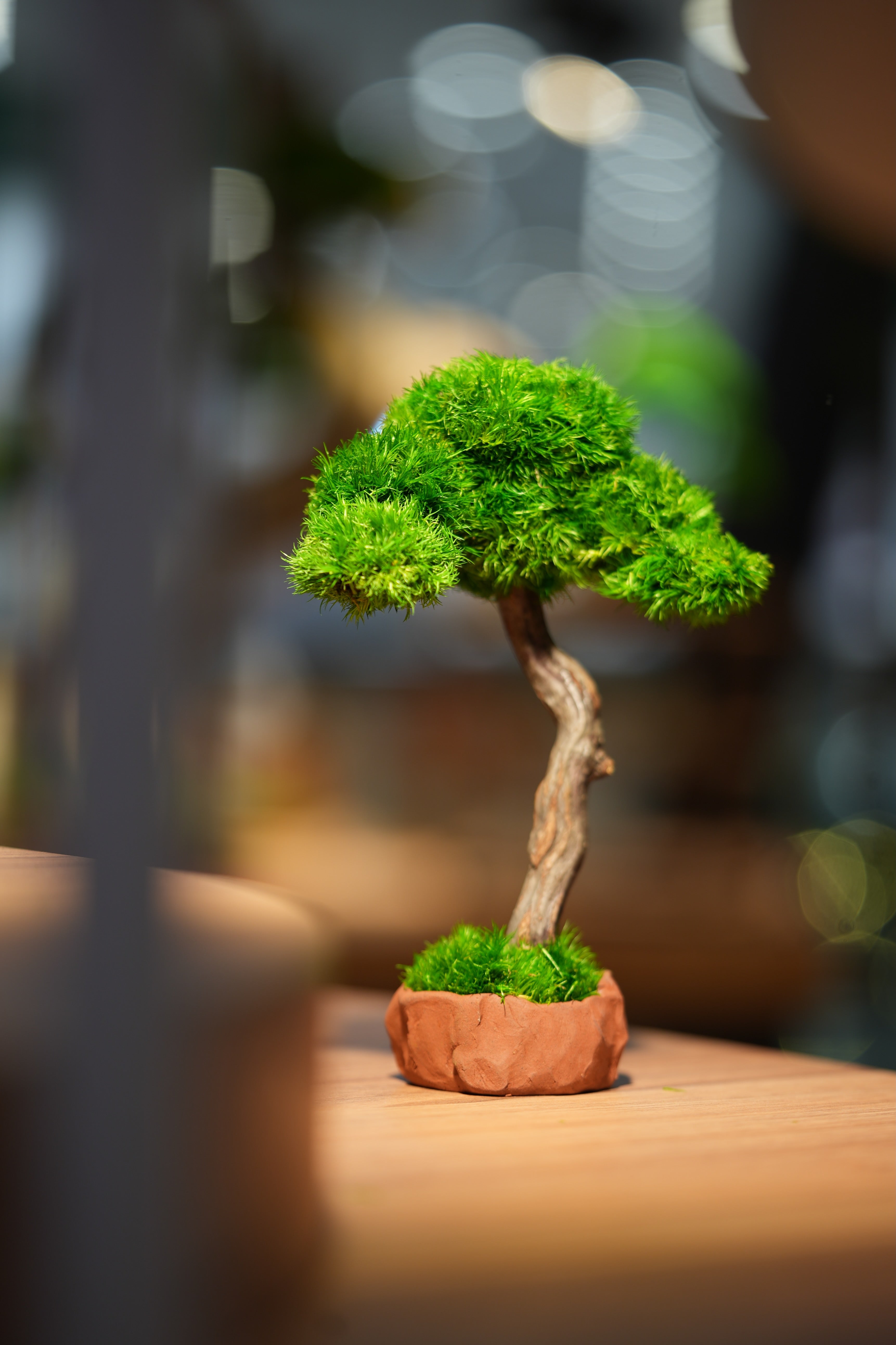 Small Tree in the East