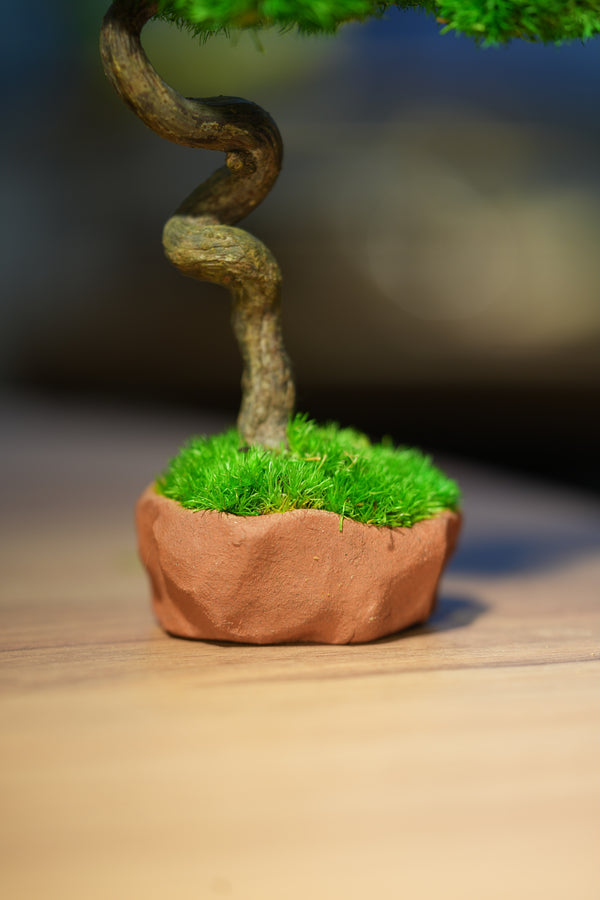 Small Tree in the East