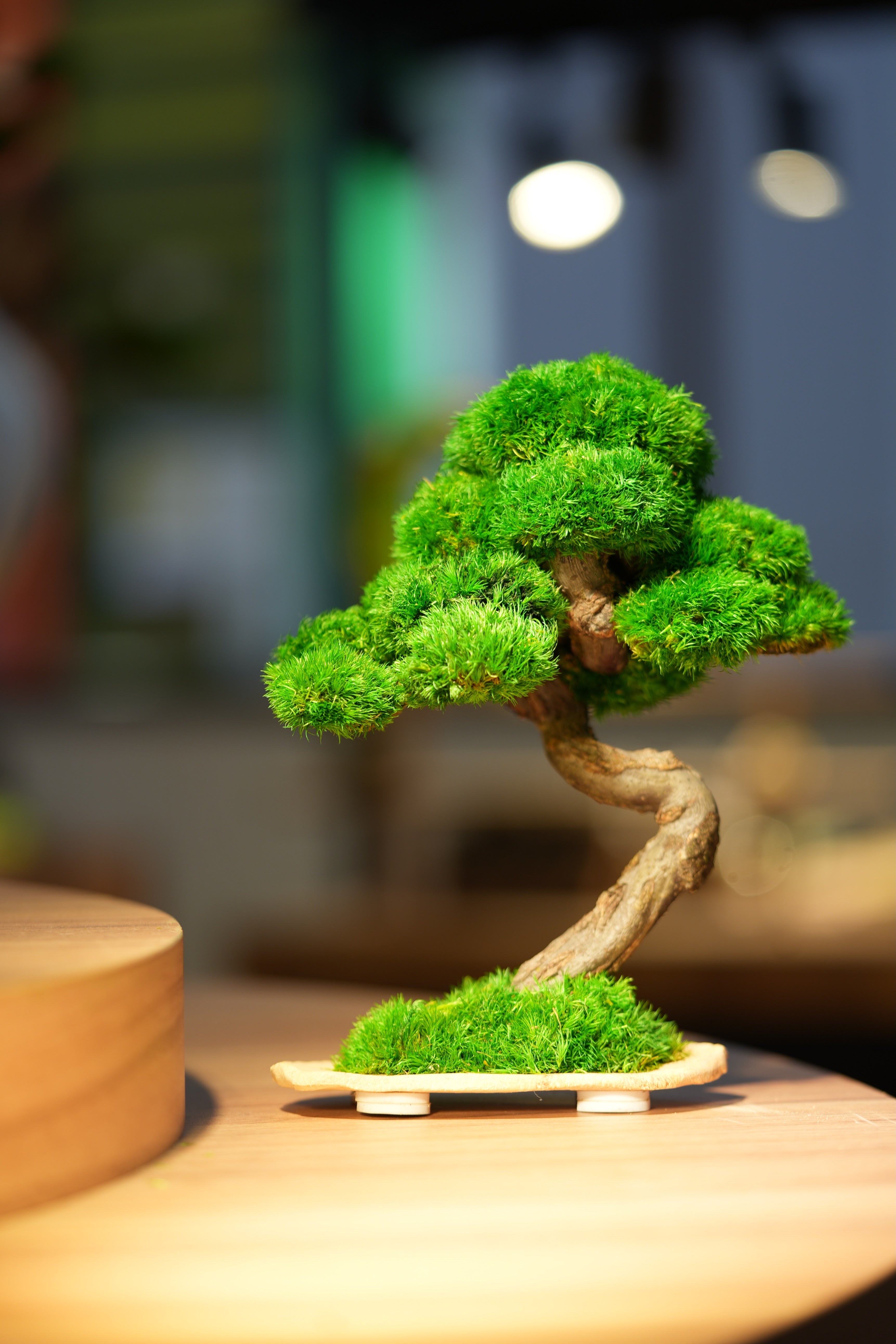 Rosewood - Speed of Light