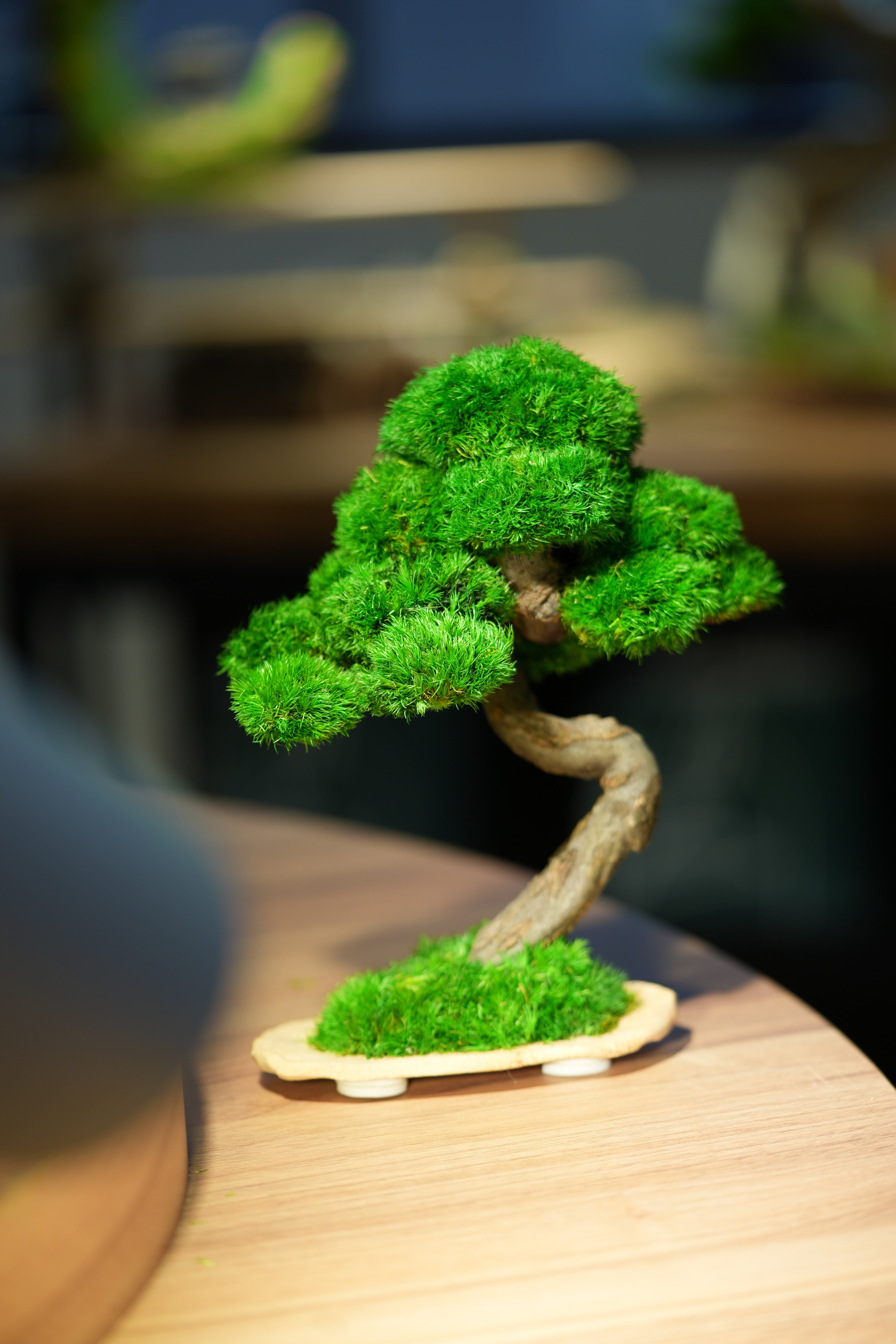 Rosewood - Speed of Light