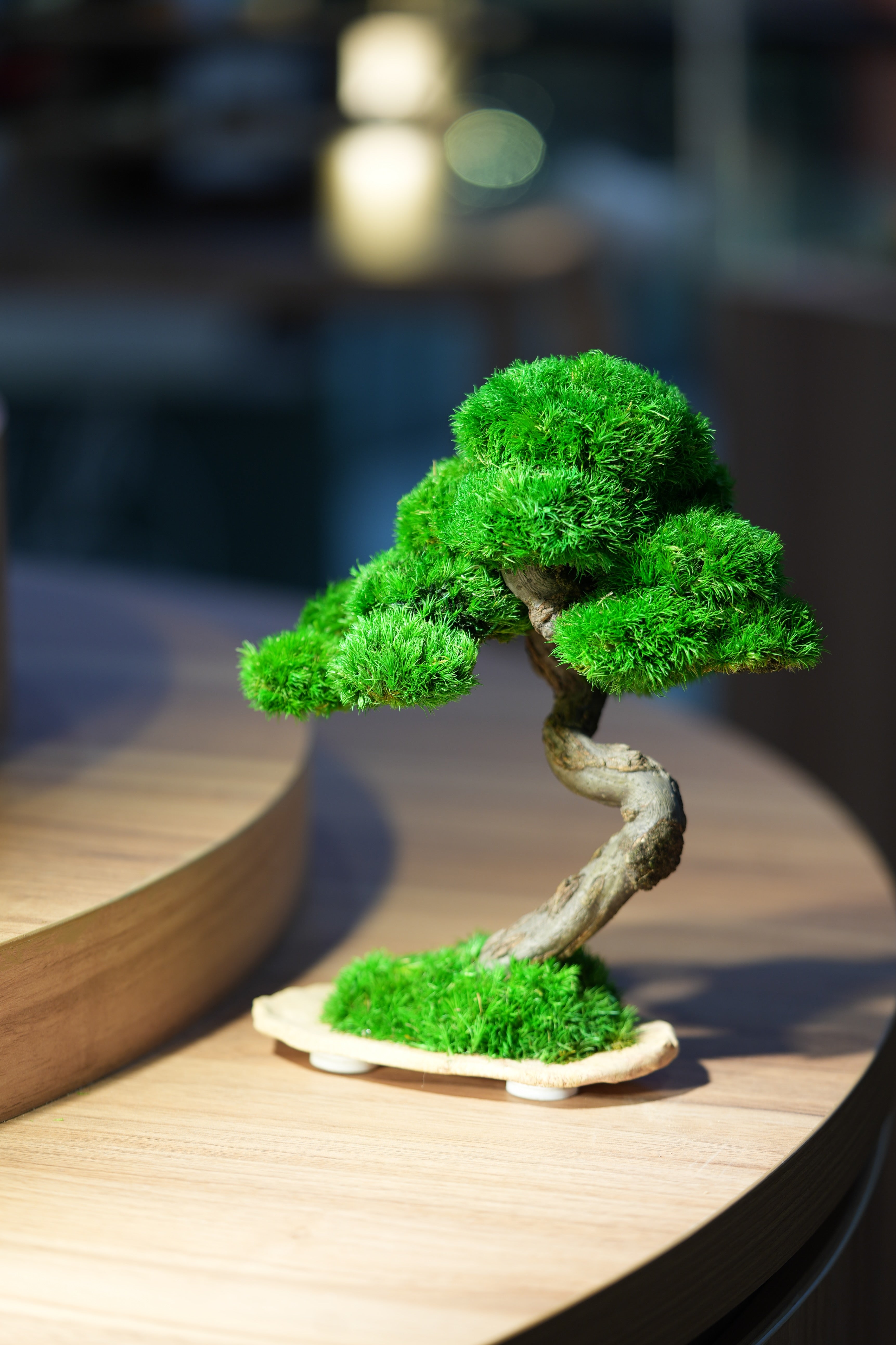 Rosewood - Speed of Light