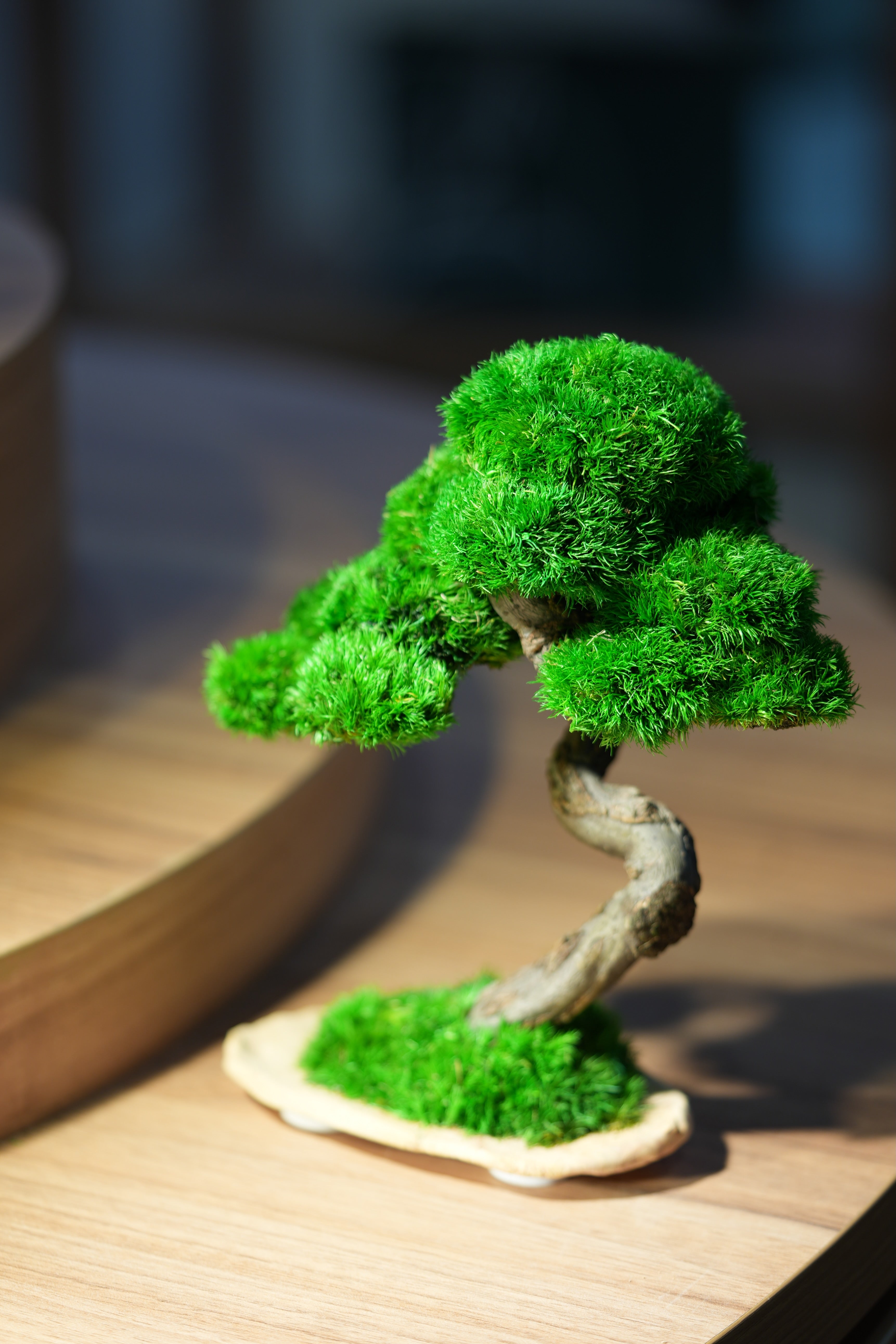 Rosewood - Speed of Light